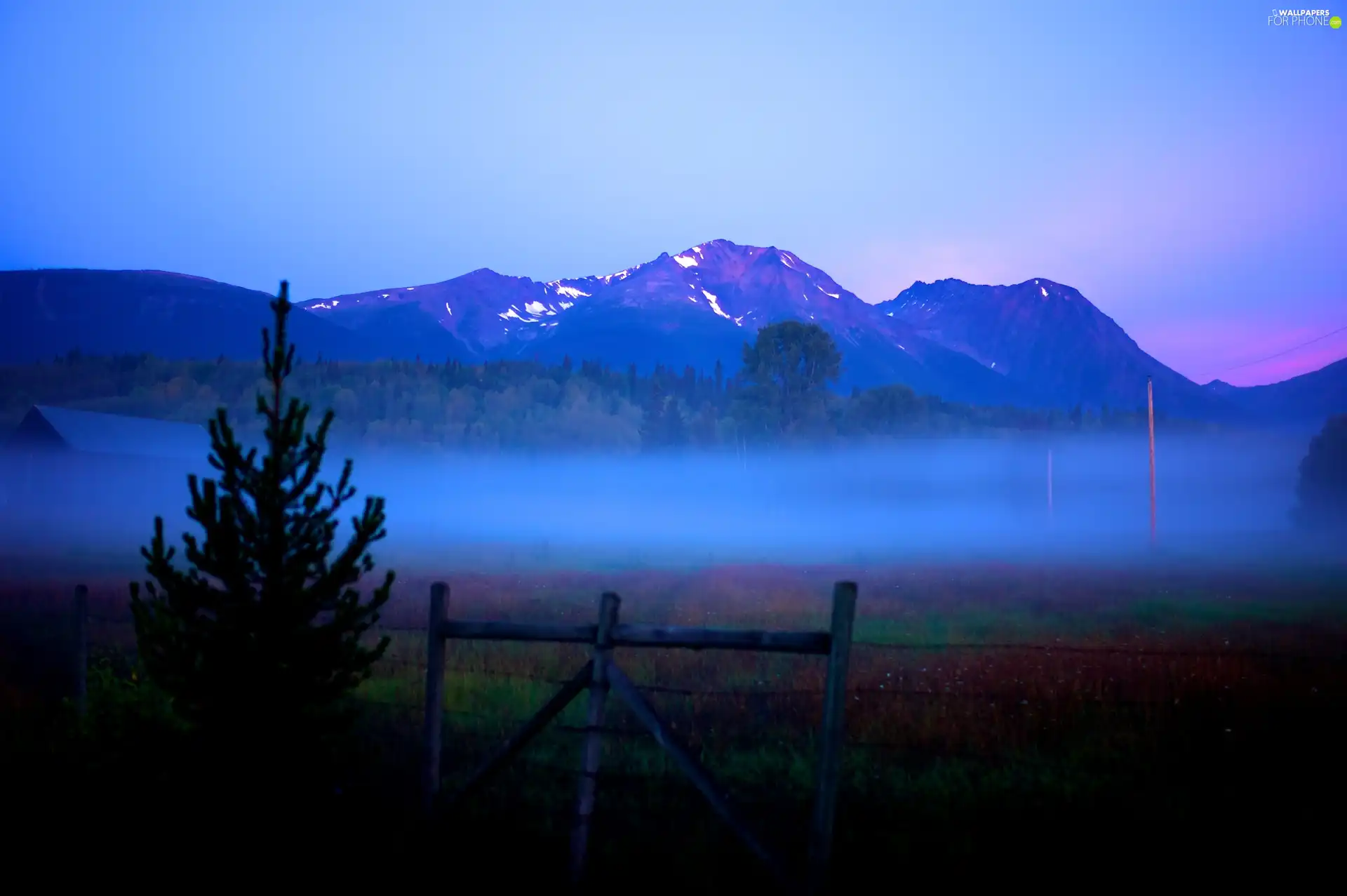 trees, Fog, Mountains, Hurdle