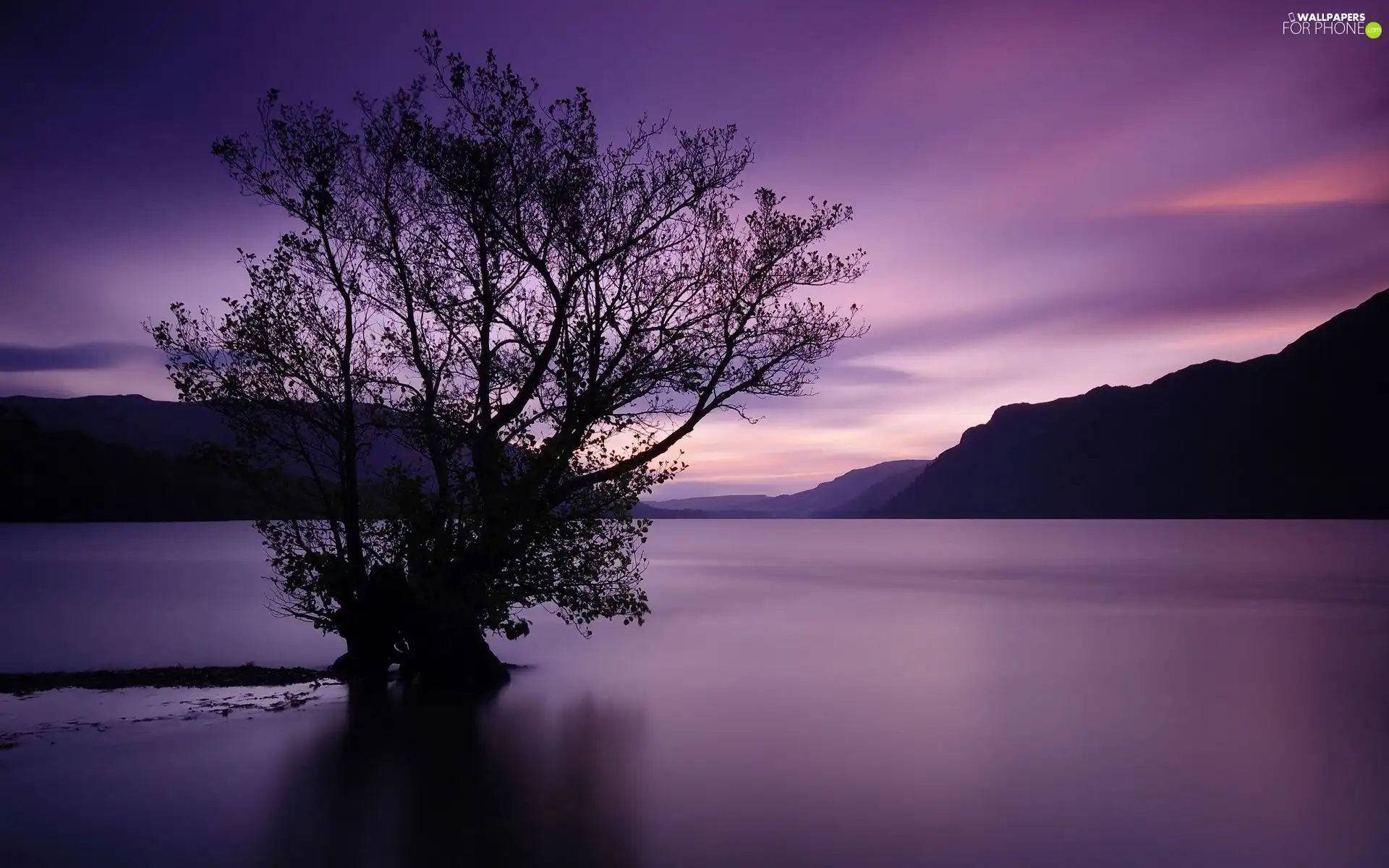 trees, lake, Mountains, frozen