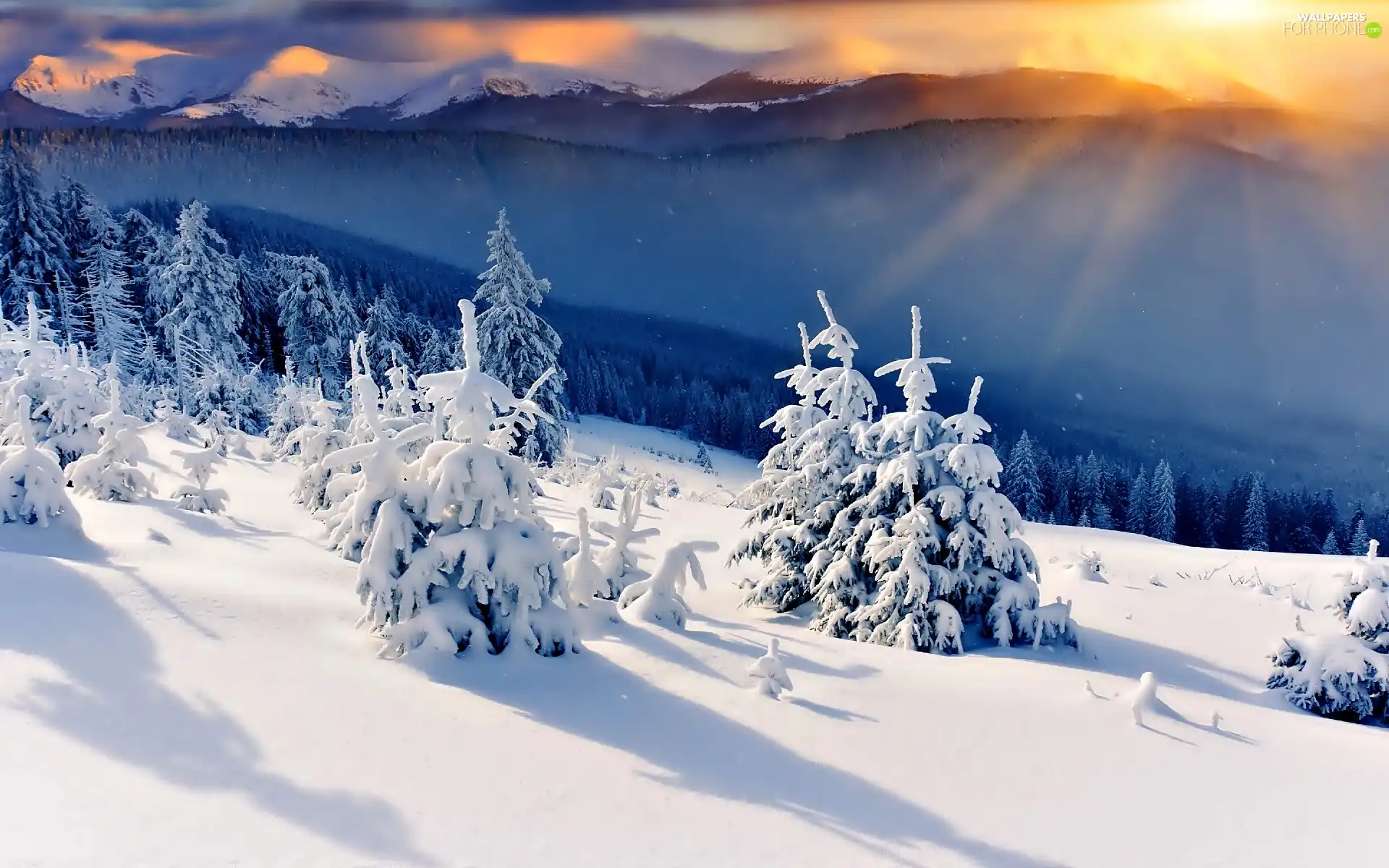 viewes, snow, Great Sunsets, trees, winter, Mountains, Valley
