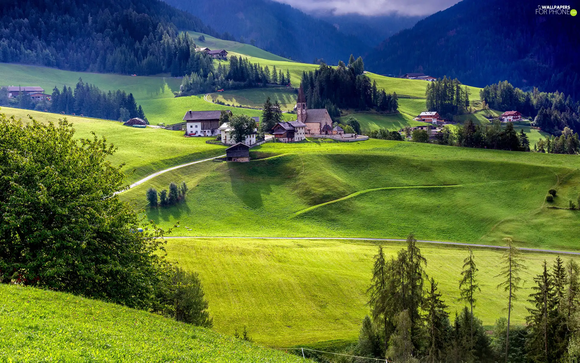 woods, Italy, viewes, trees, Santa Maddalena, roads, Houses, Alps, Mountains, Church, country