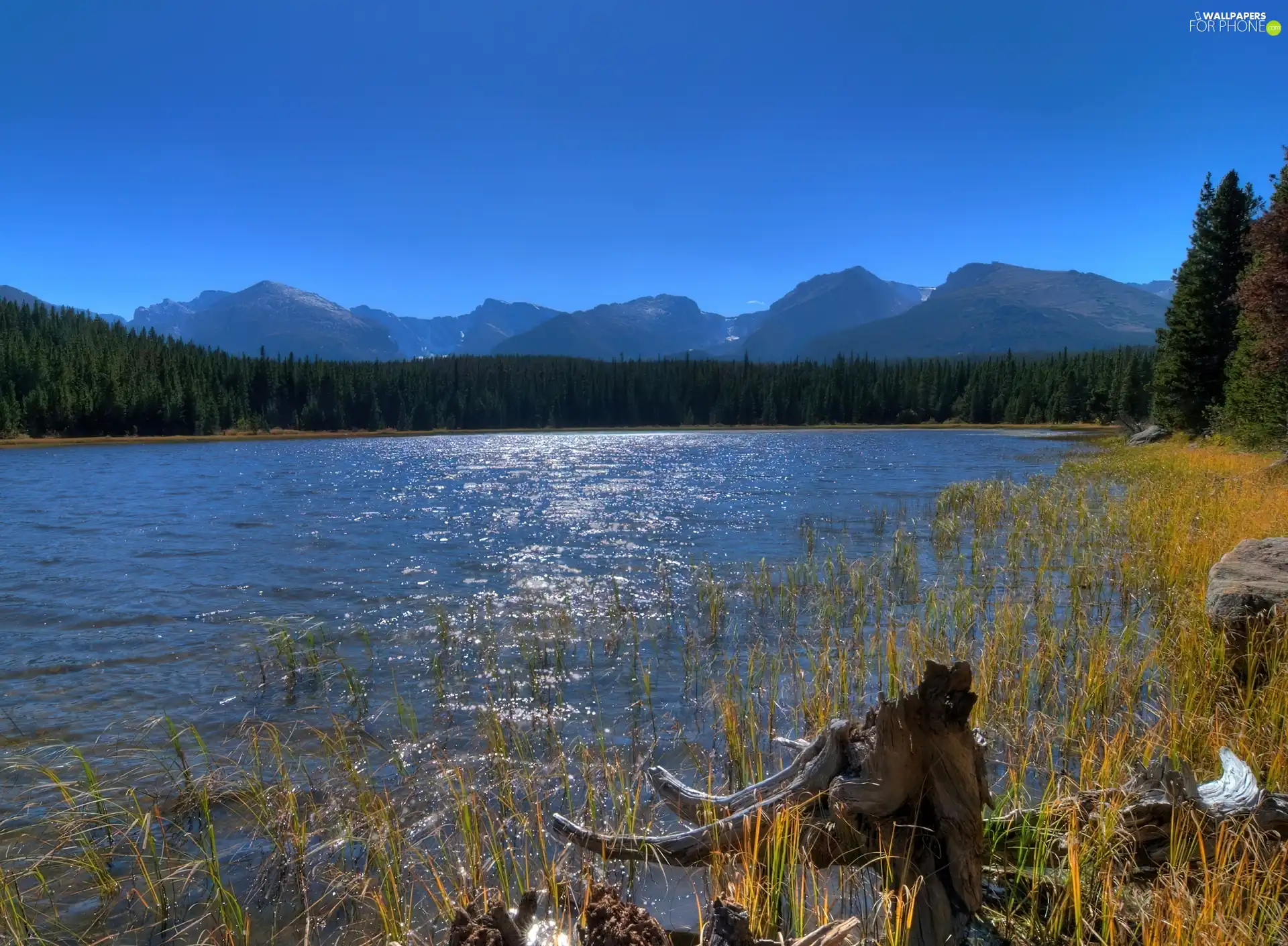 Mountains, lake, woods