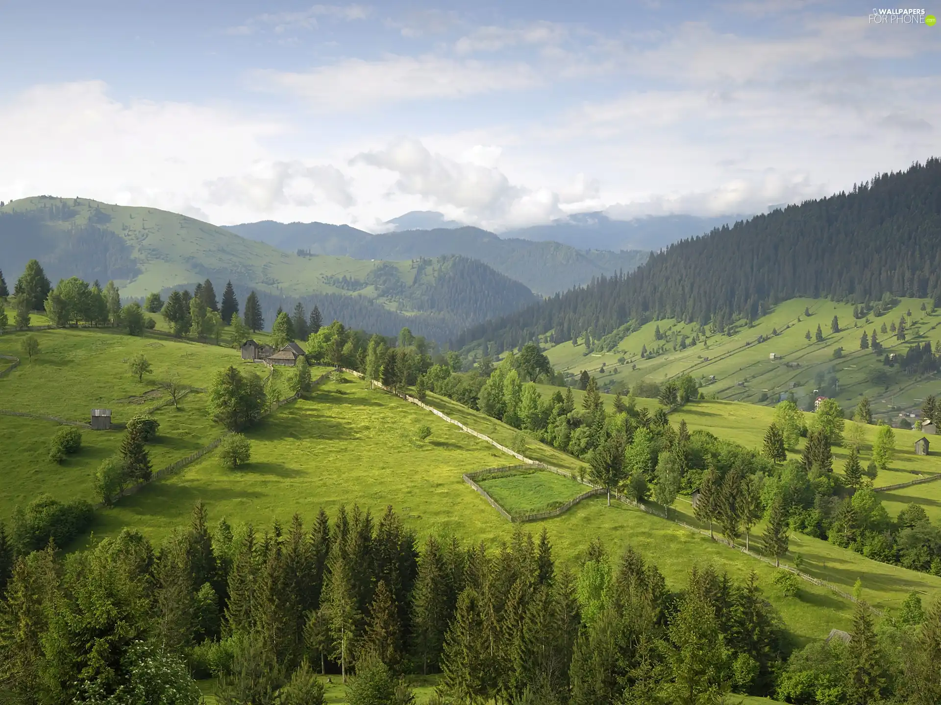 Mountains, medows, woods