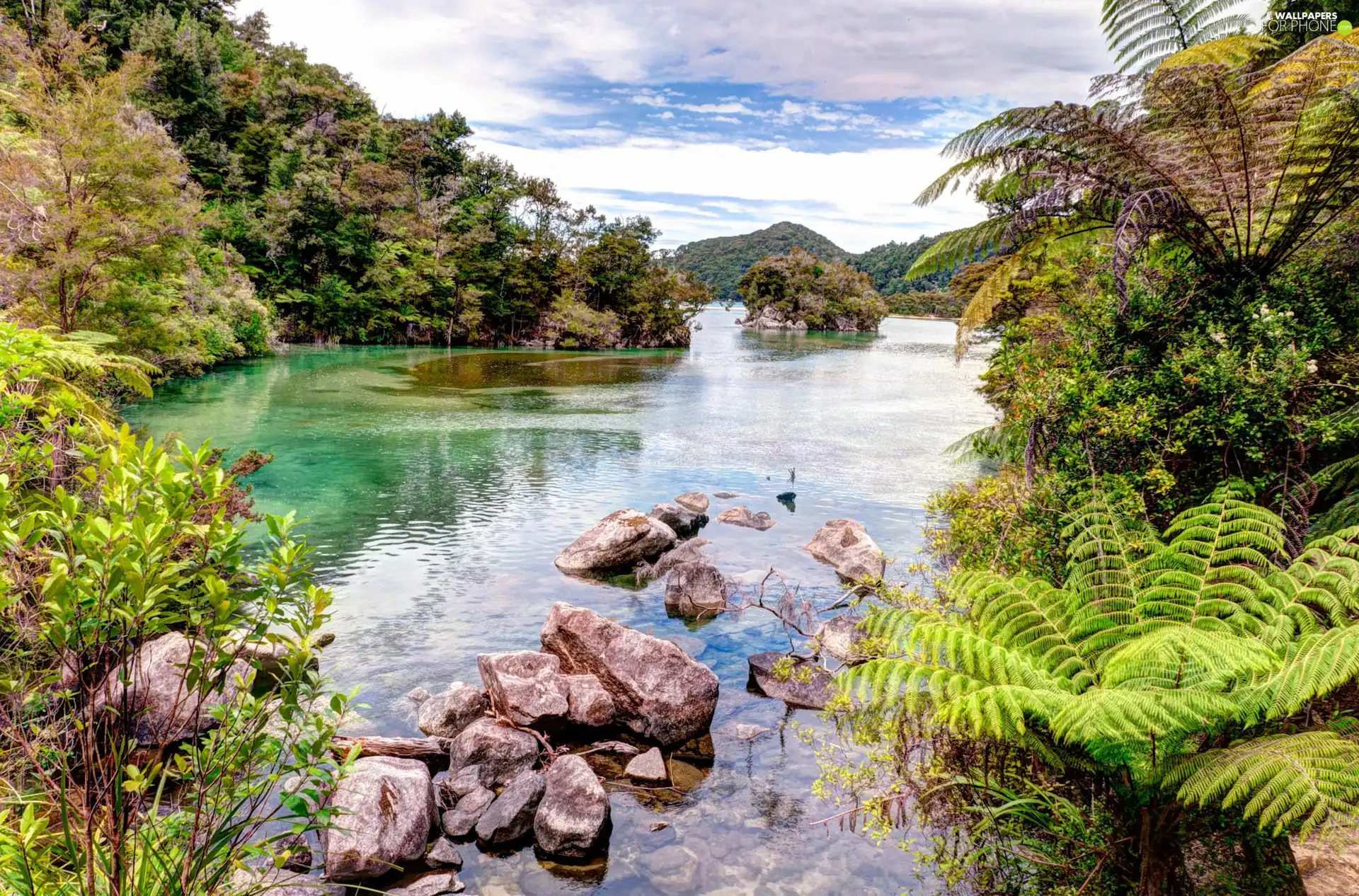 Mountains, woods, Stones, fern, River