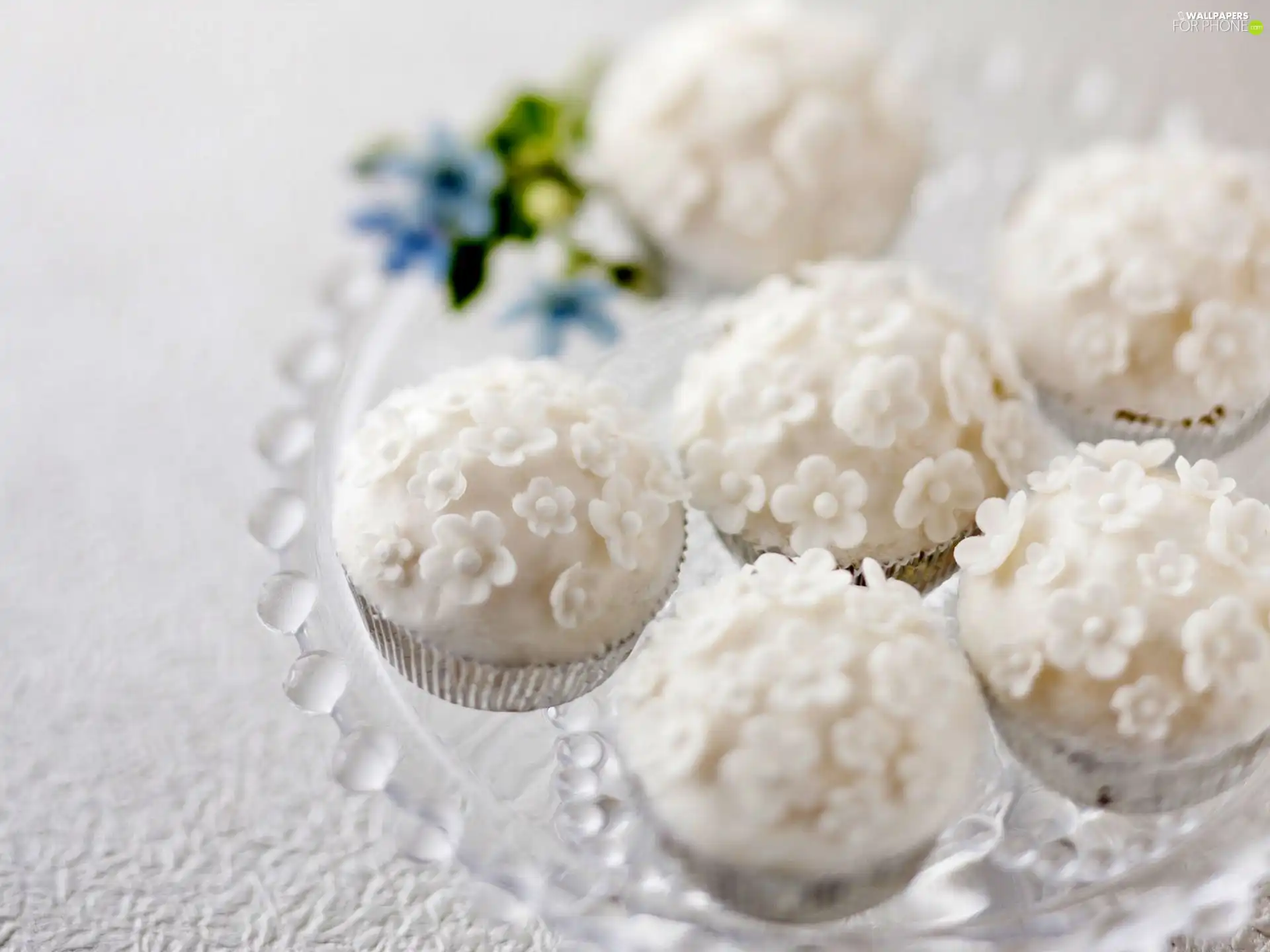 Muffins, White, chocolate