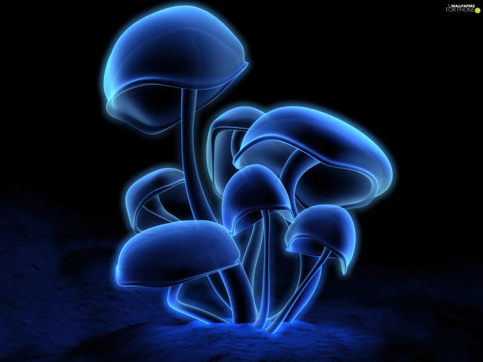 Blue, mushrooms