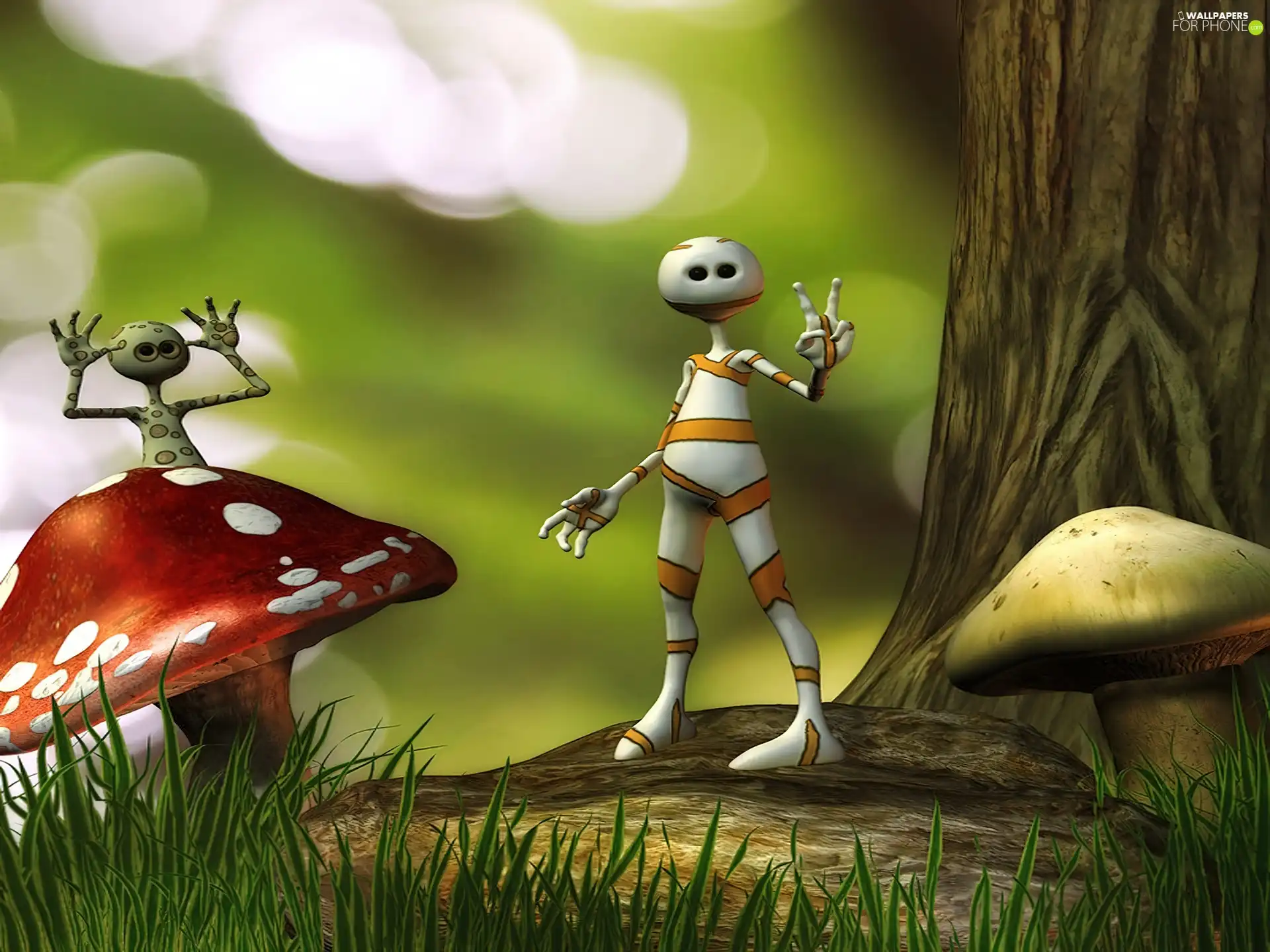 humans, mushrooms