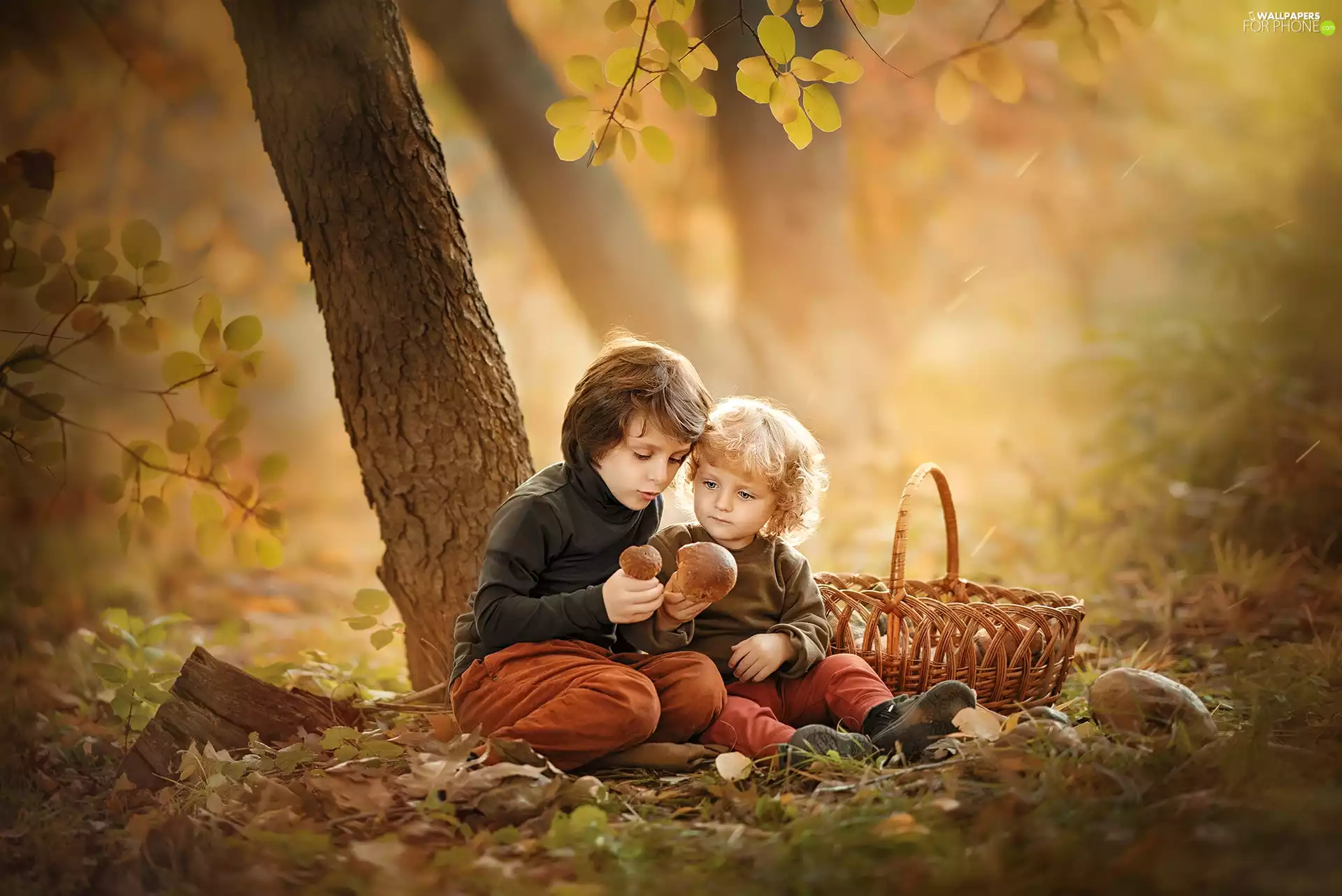 Kids, basket, trees, mushrooms