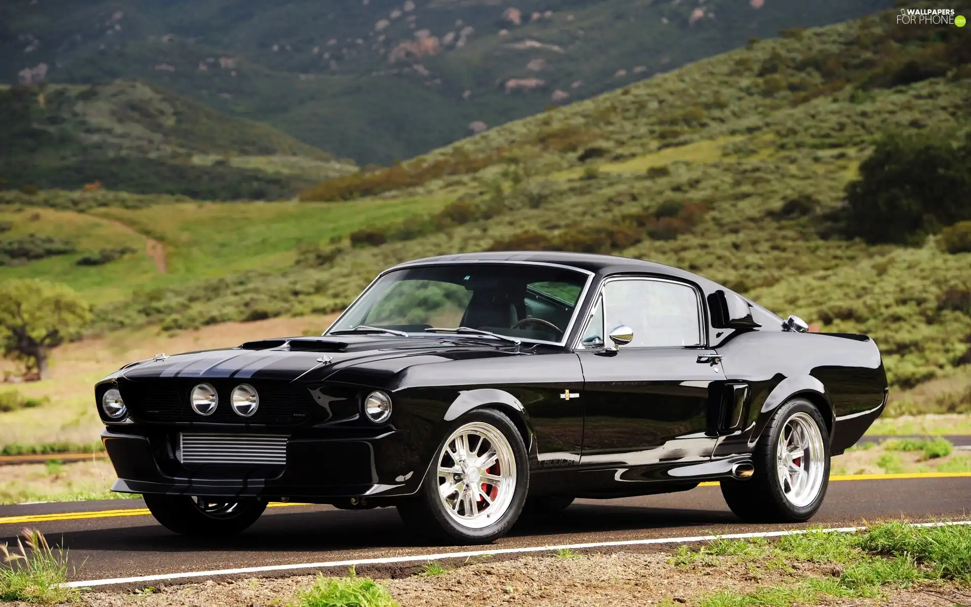 Black, Ford Mustang