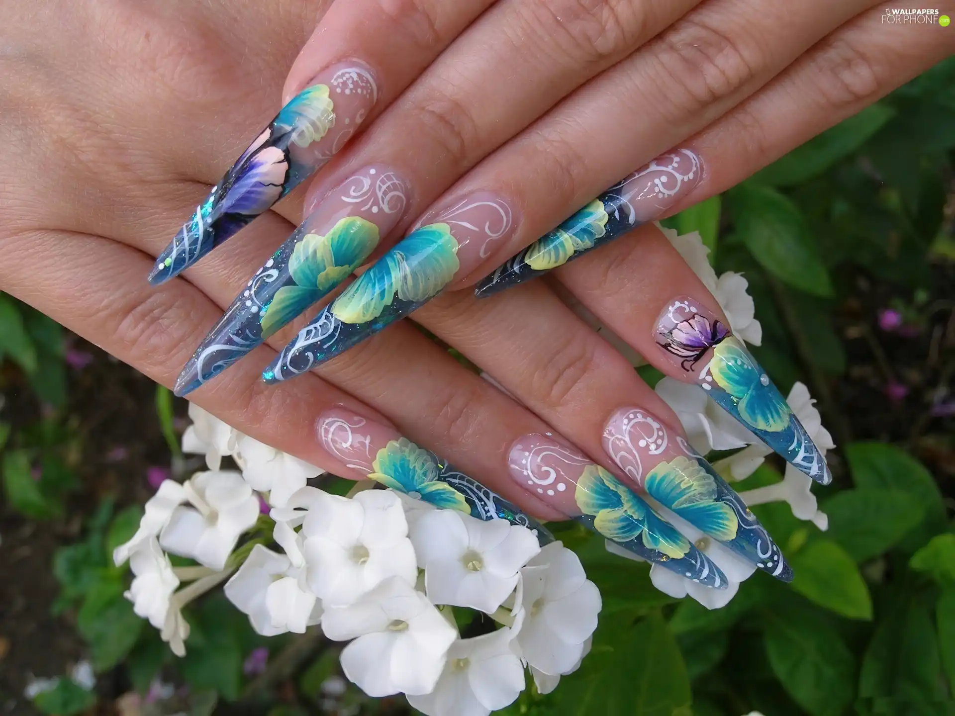 Nails, Flowers, hands, color, Women