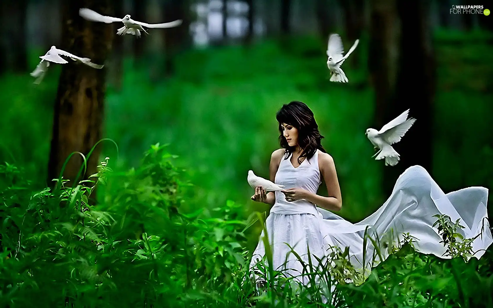 nature, Women, birds