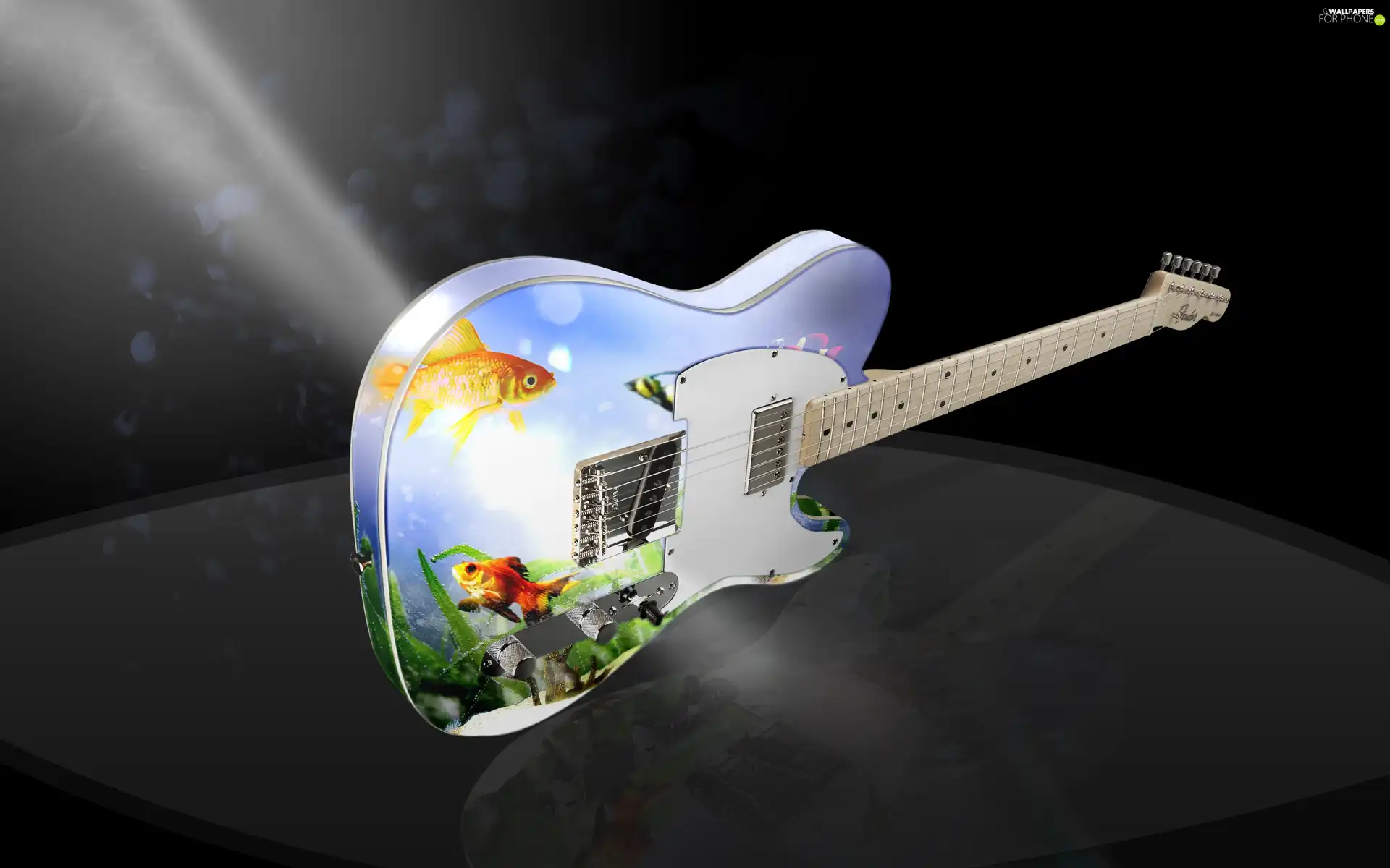 Coloured, fishes, neck, Guitar