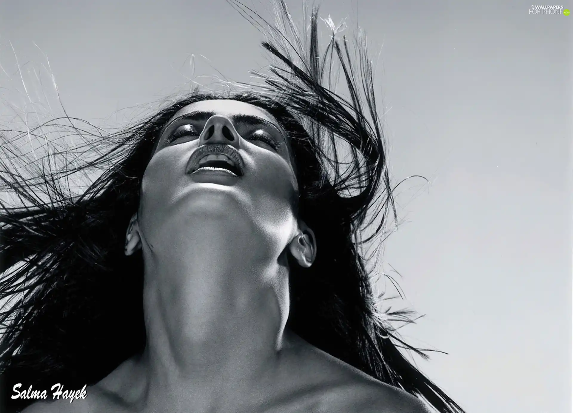 Salma Hayek, Hair, neck, dispelled