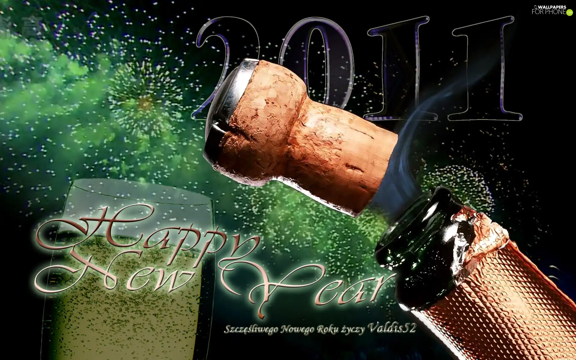 Wishes, New Year 2011