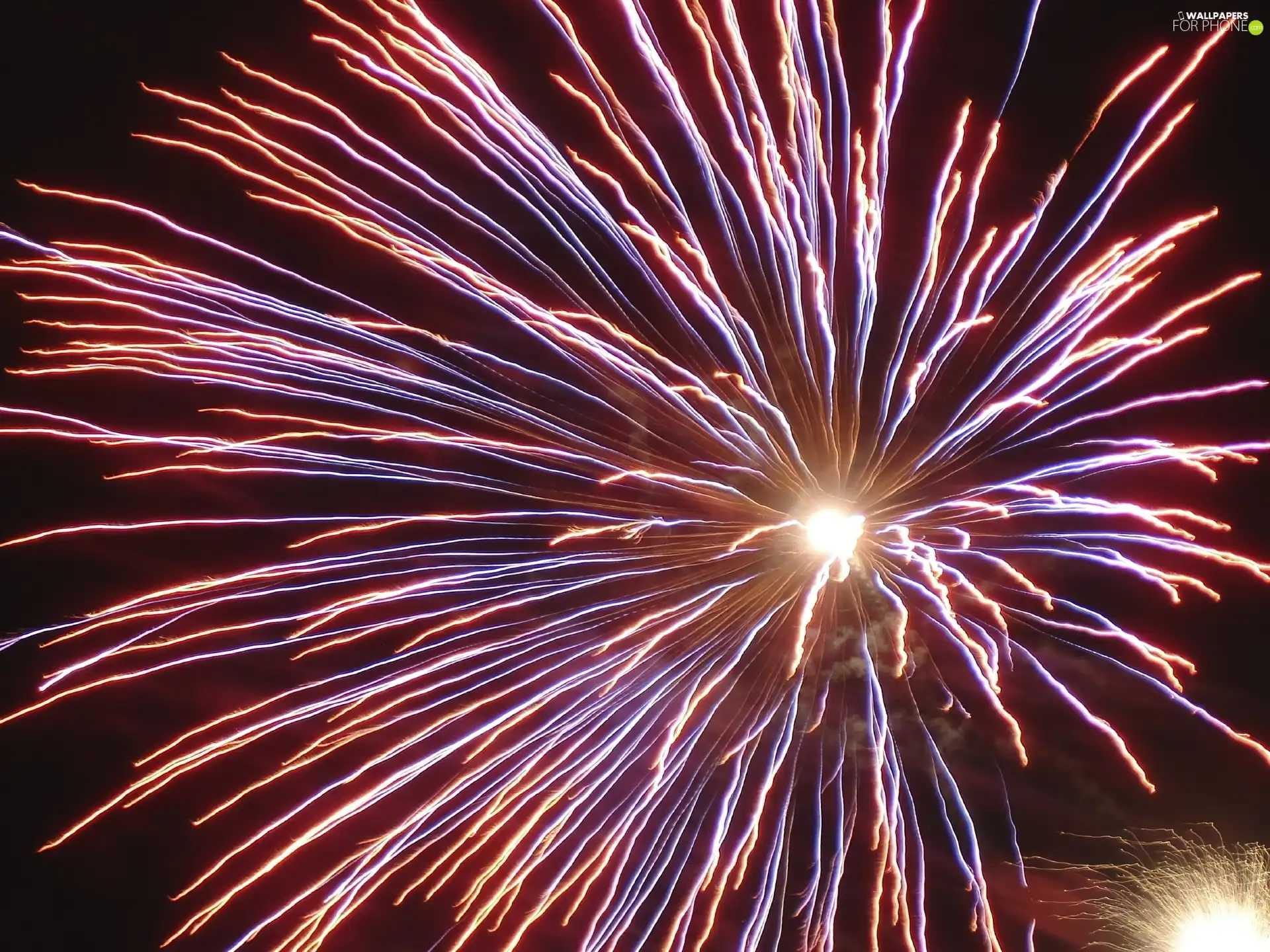 New Year