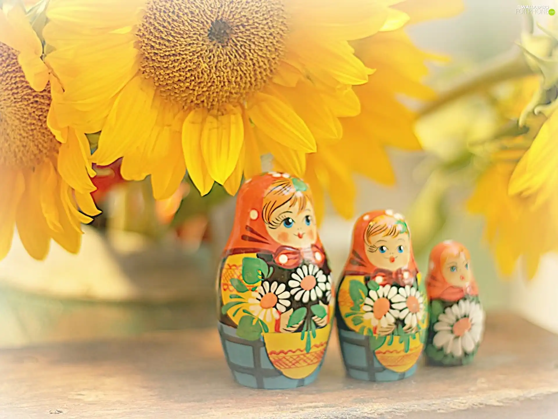 Nice sunflowers, babushka