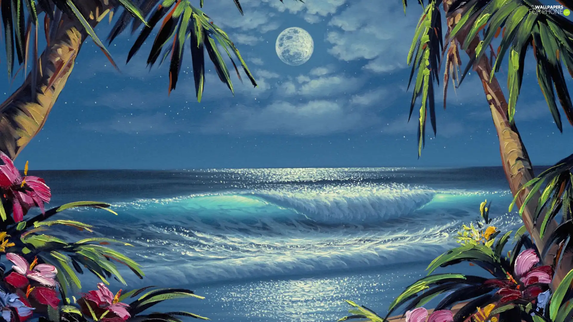 Night, sea, Palms