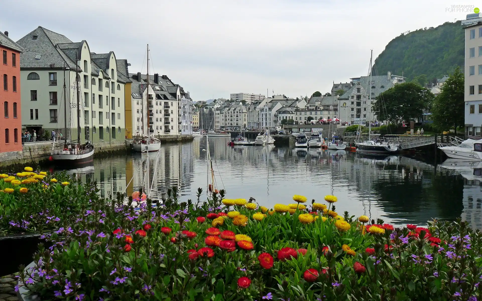Norway, panorama, town