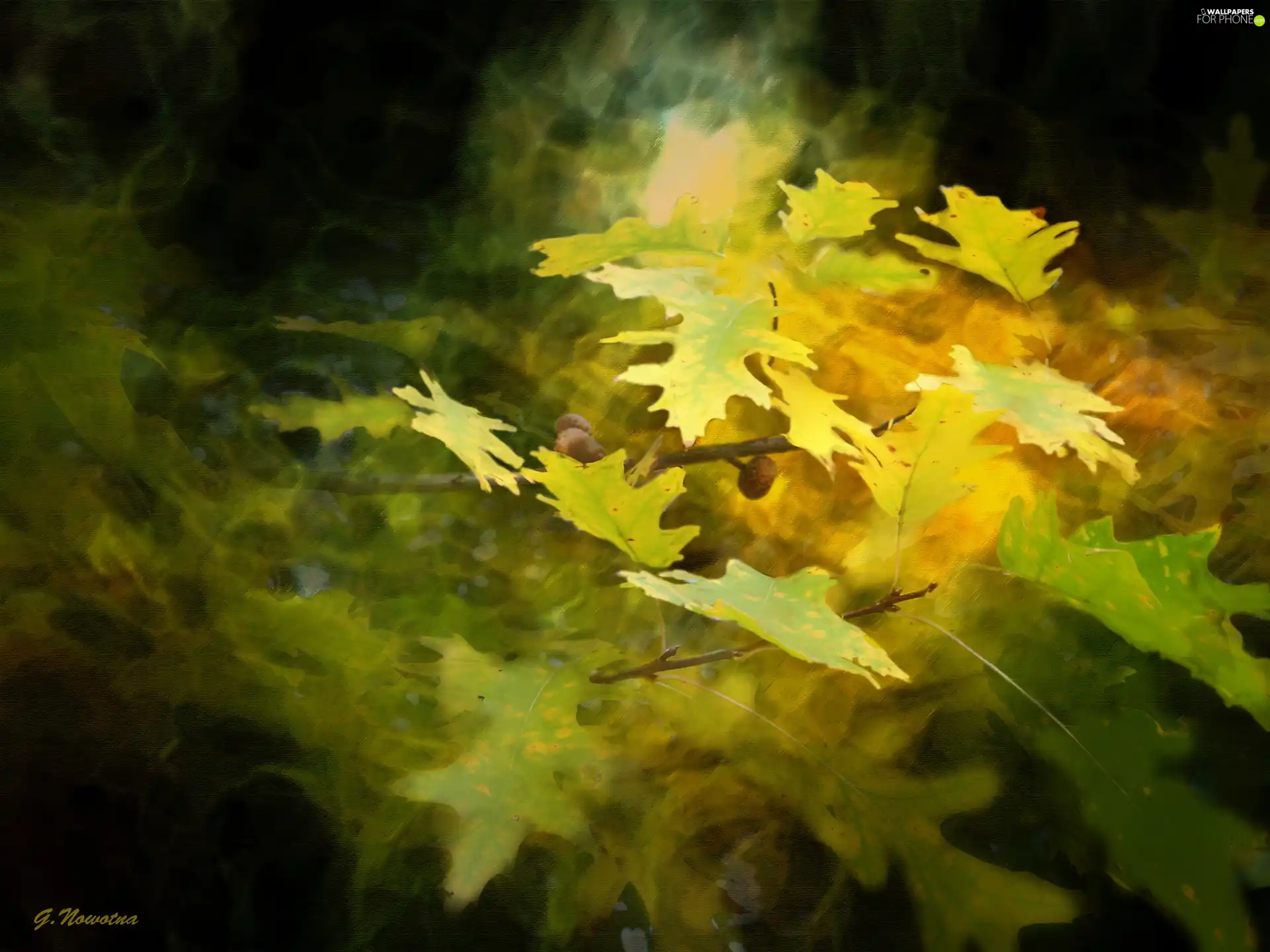Yellow, Leaf, oak, Autumn