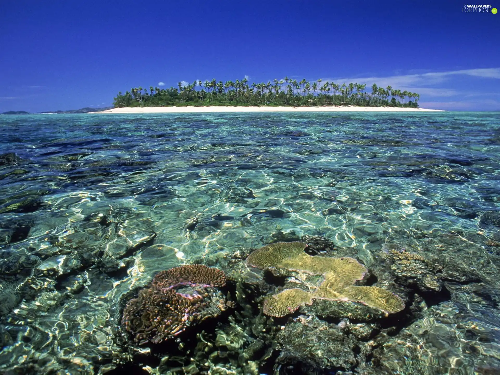 Island, Ocean