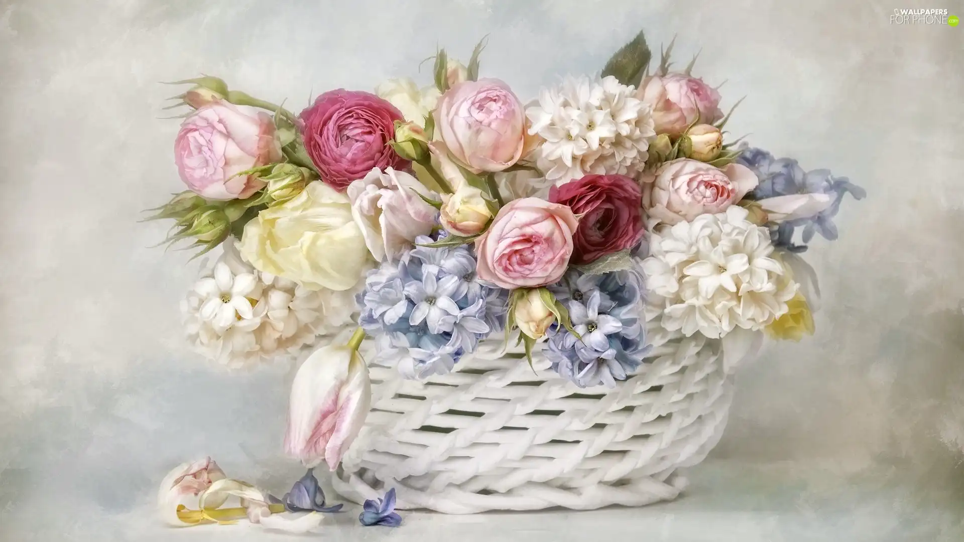 roses, Hyacinths, Bouquet of Flowers, basket, graphics