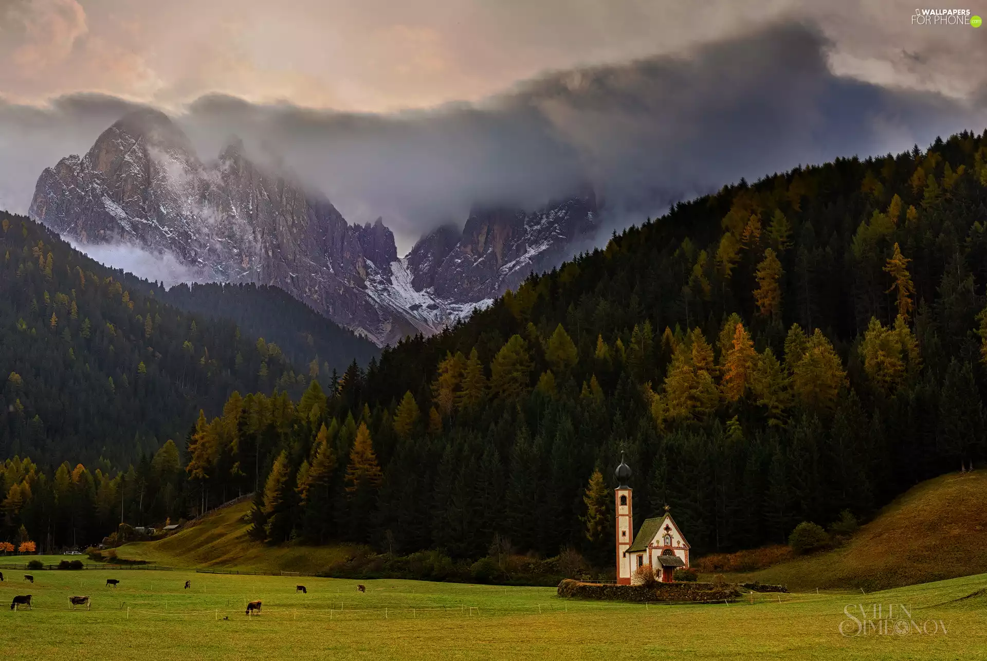 woods, Val di Funes Valley, Dolomites, Italy, Mountains, Church of St. John