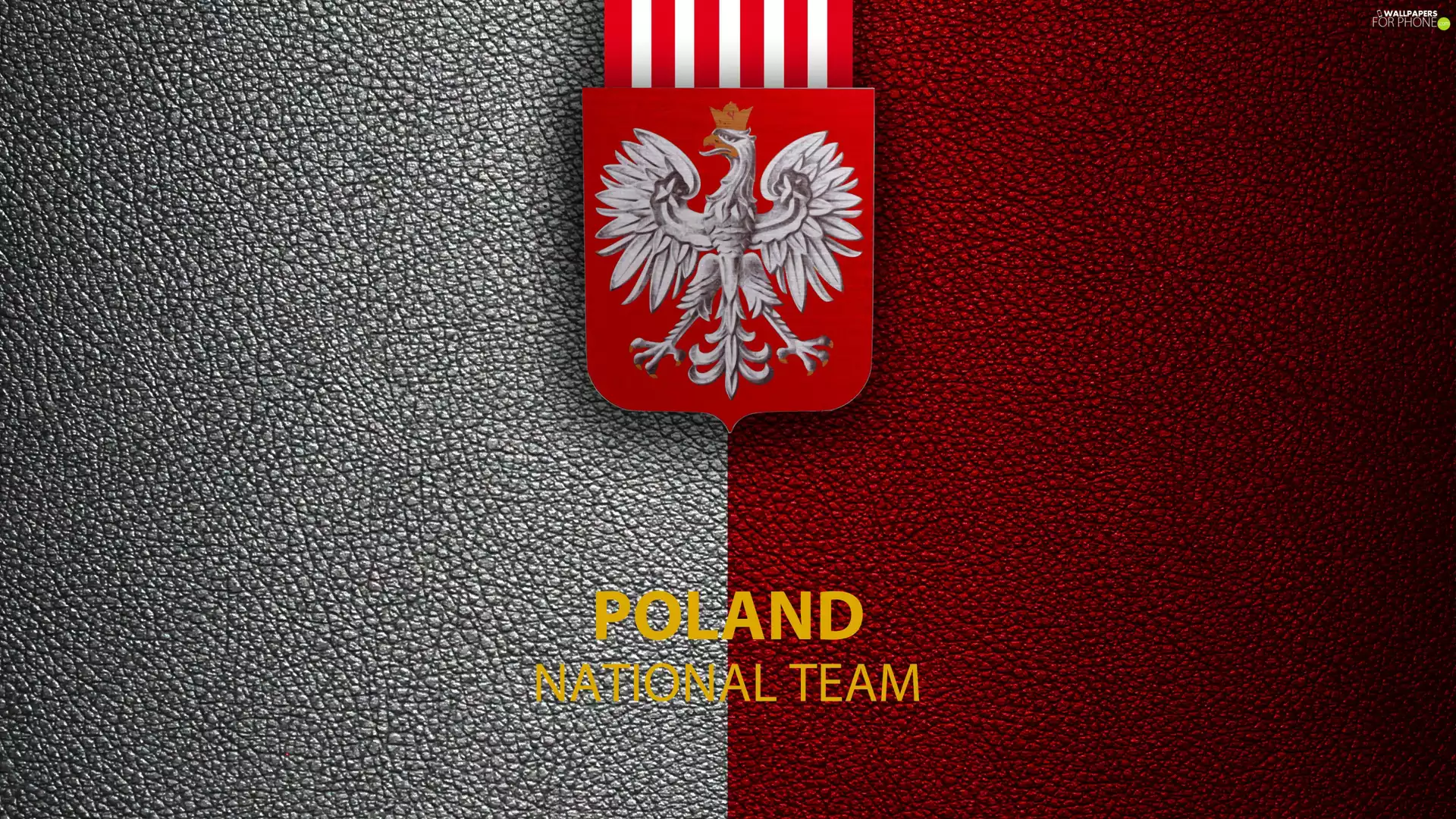logo, Soccer, Representation of Poland, emblem