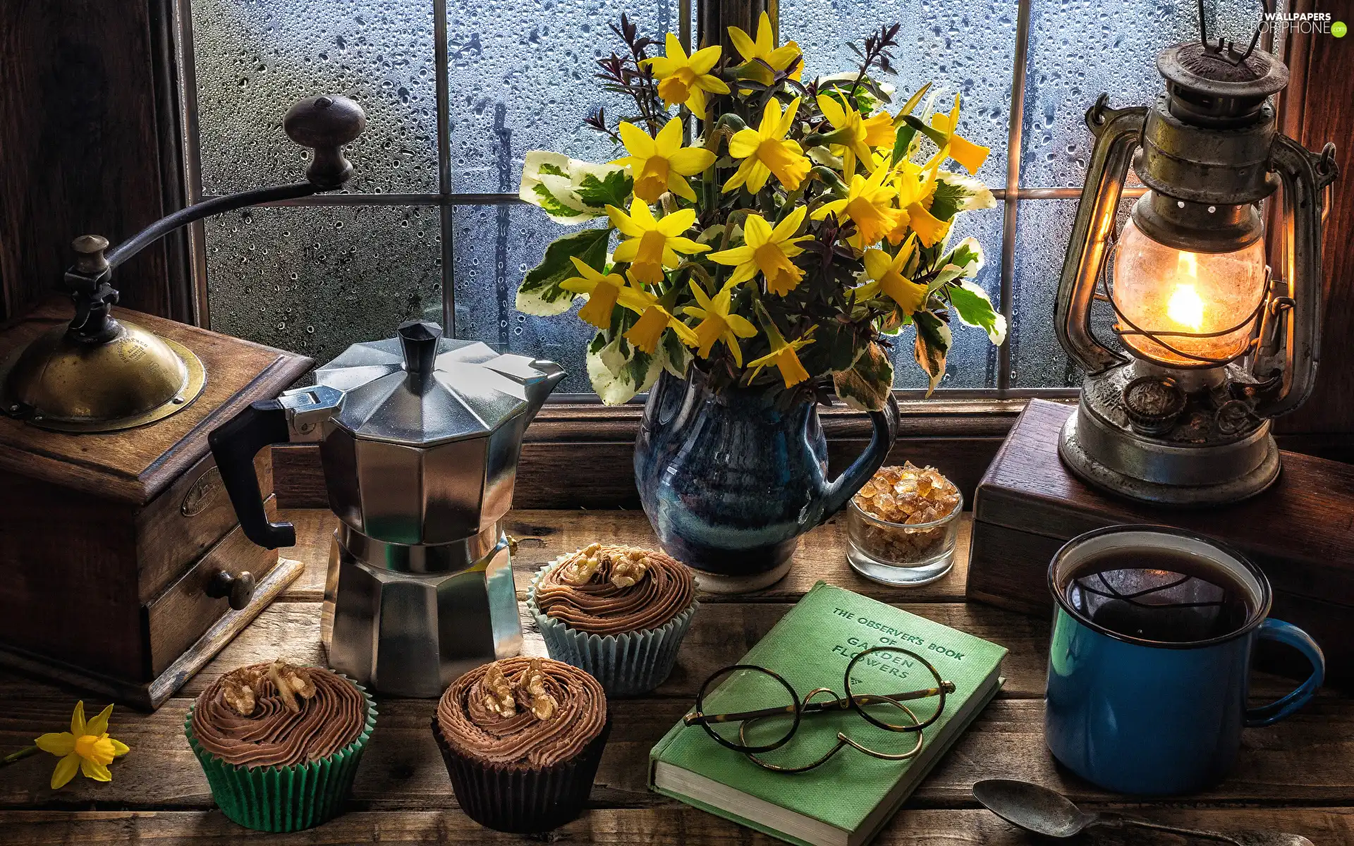 Oil Lamp, Window, mill, Jonquil, composition, Coffee Percolator, Muffins