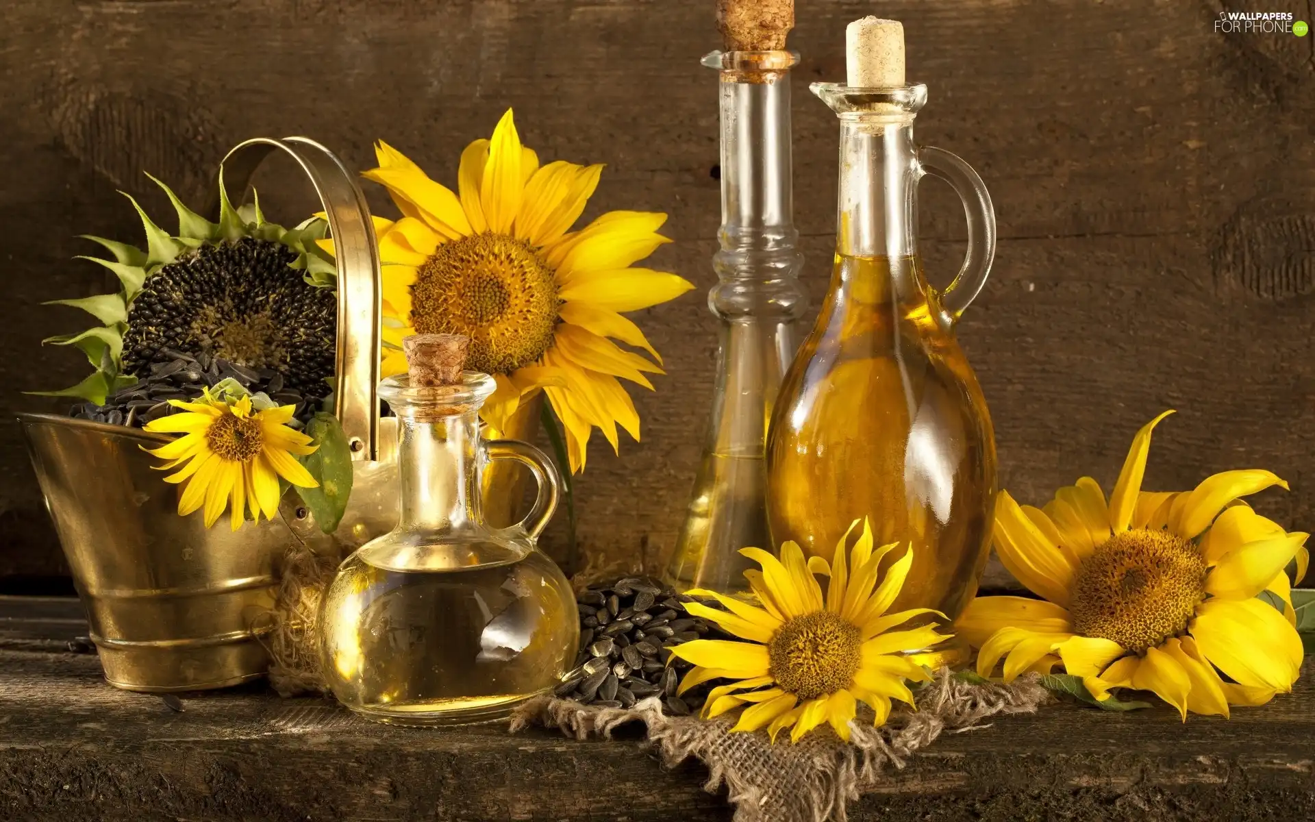 Flowers, Bottles, oil, sunflower