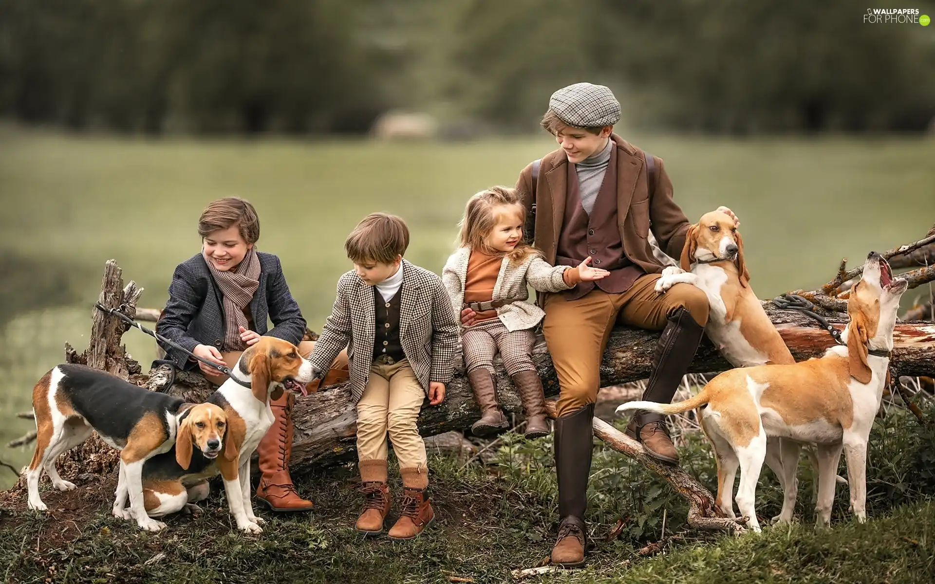 Kids, Beagle, Lod on the beach, Dogs