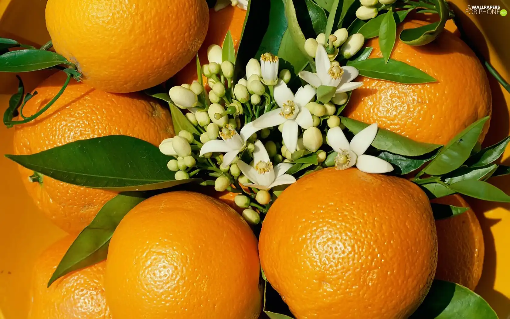 orange