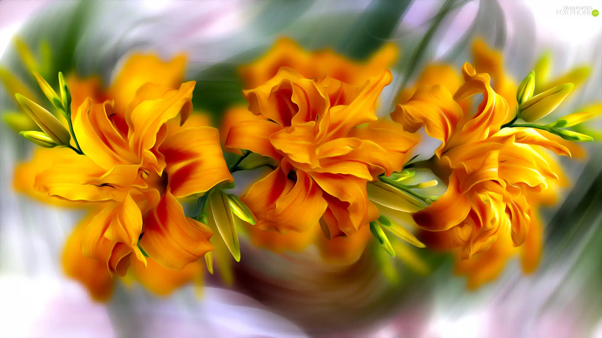 Flowers, lilies, graphics, Orange