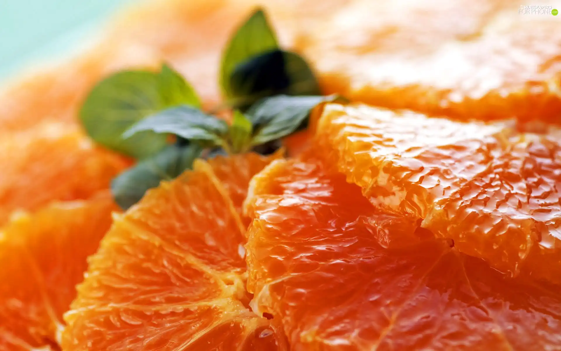 orange, fleshy, particles