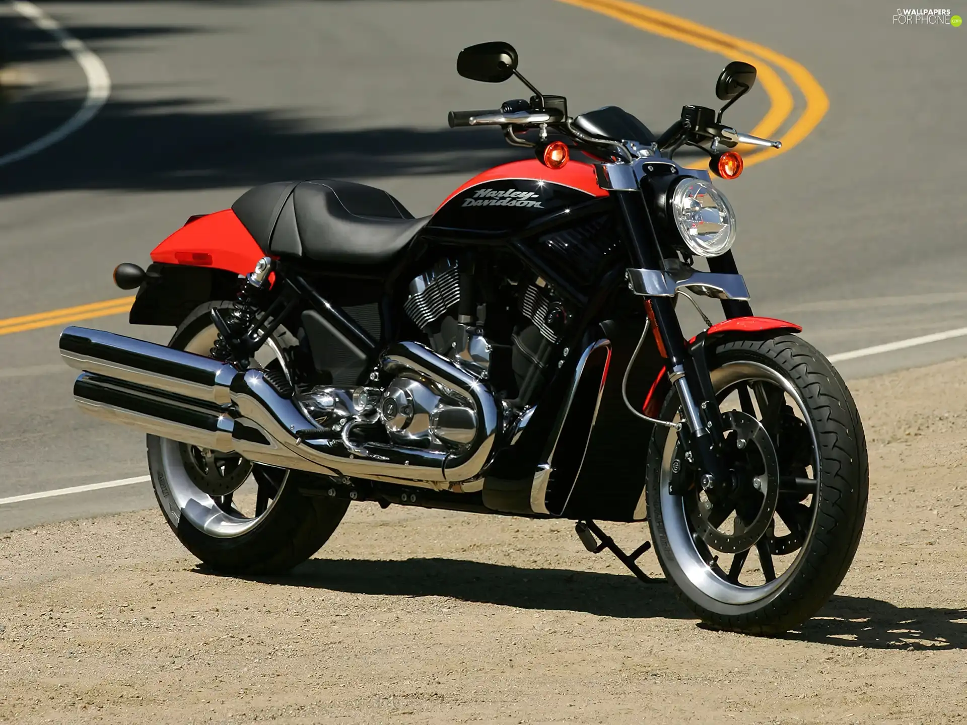 Black, Harley Davidson Street Rod, orange