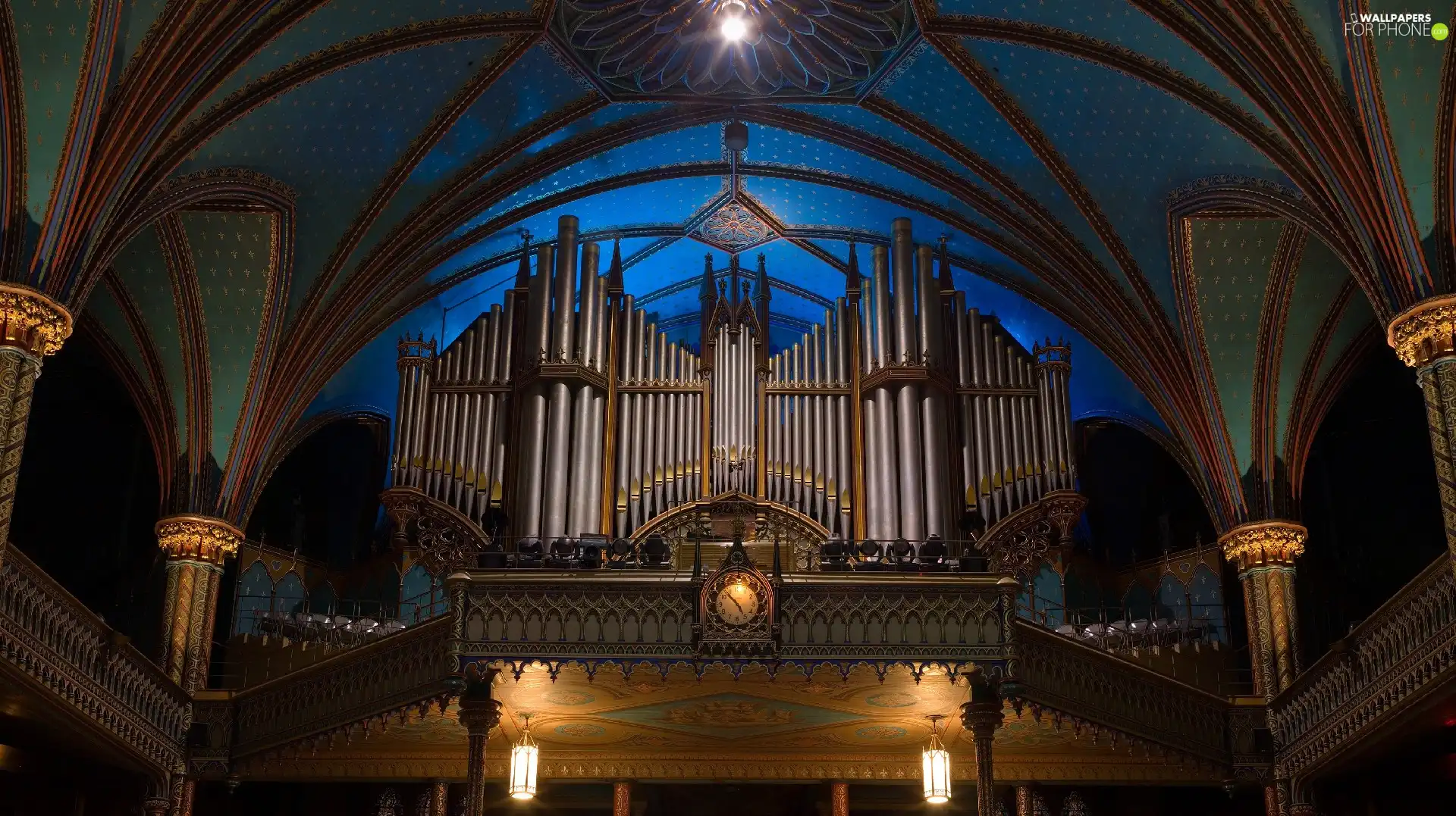 organ