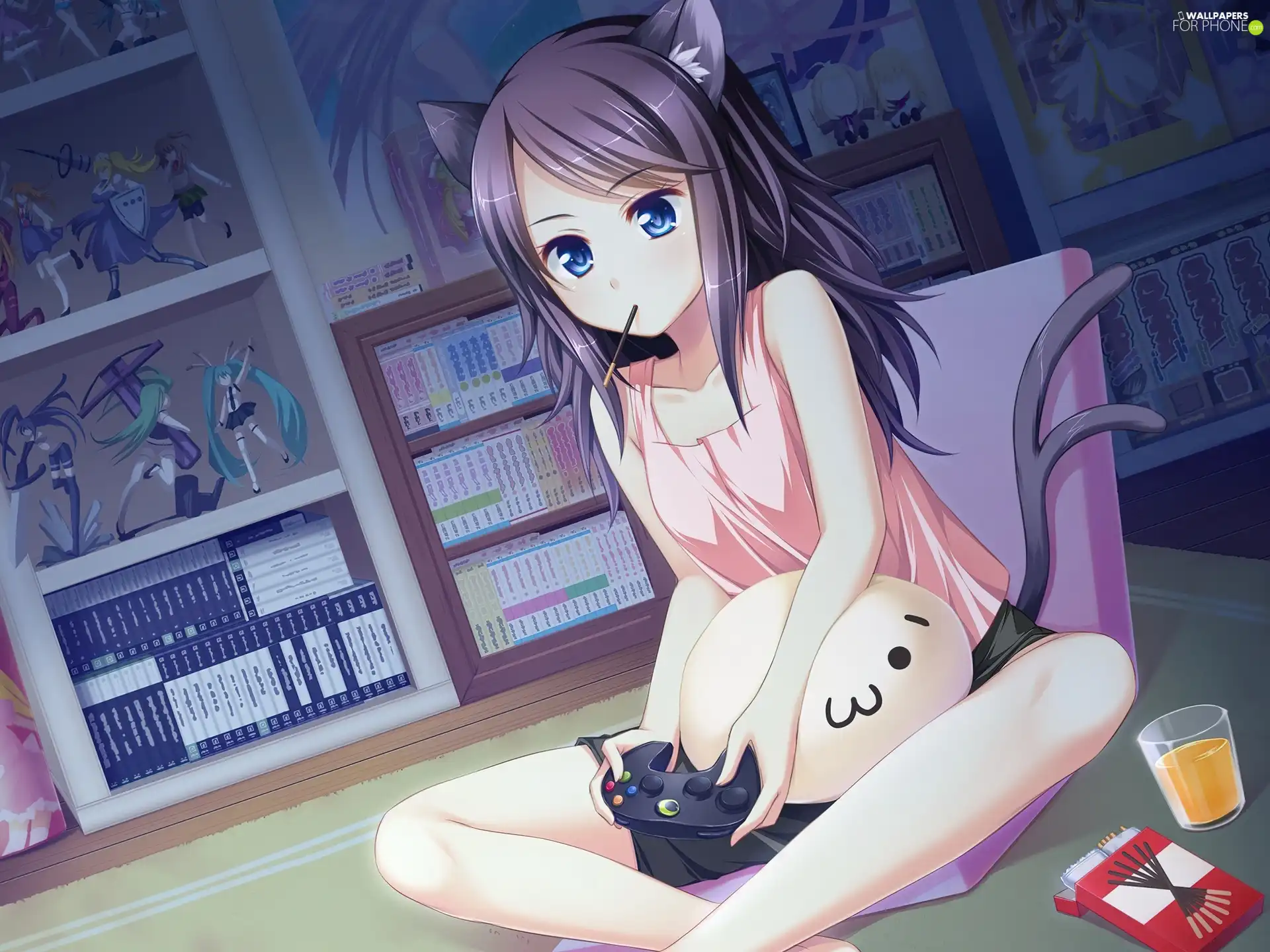 Otaku, figures, Anime, Manga, girl