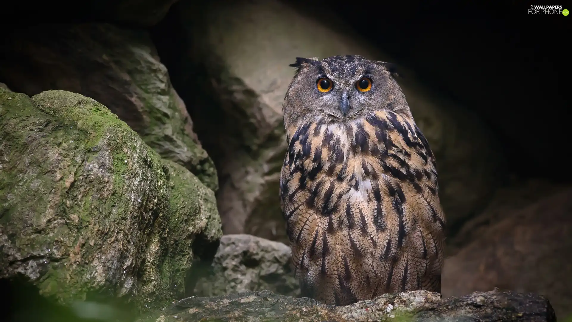 Stones, owl, eagle-owl