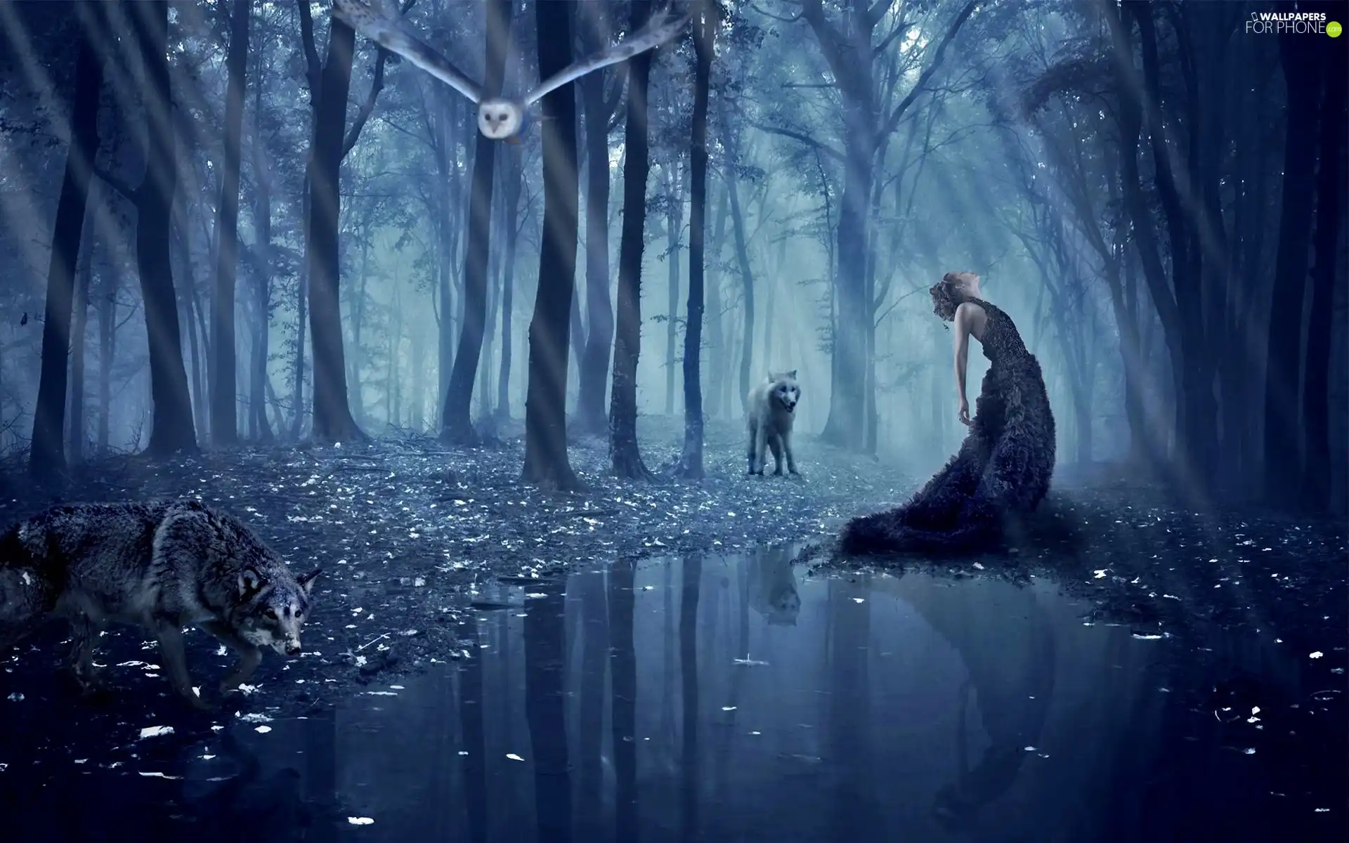 wolves, trees, reflection, viewes, Women, owl, water