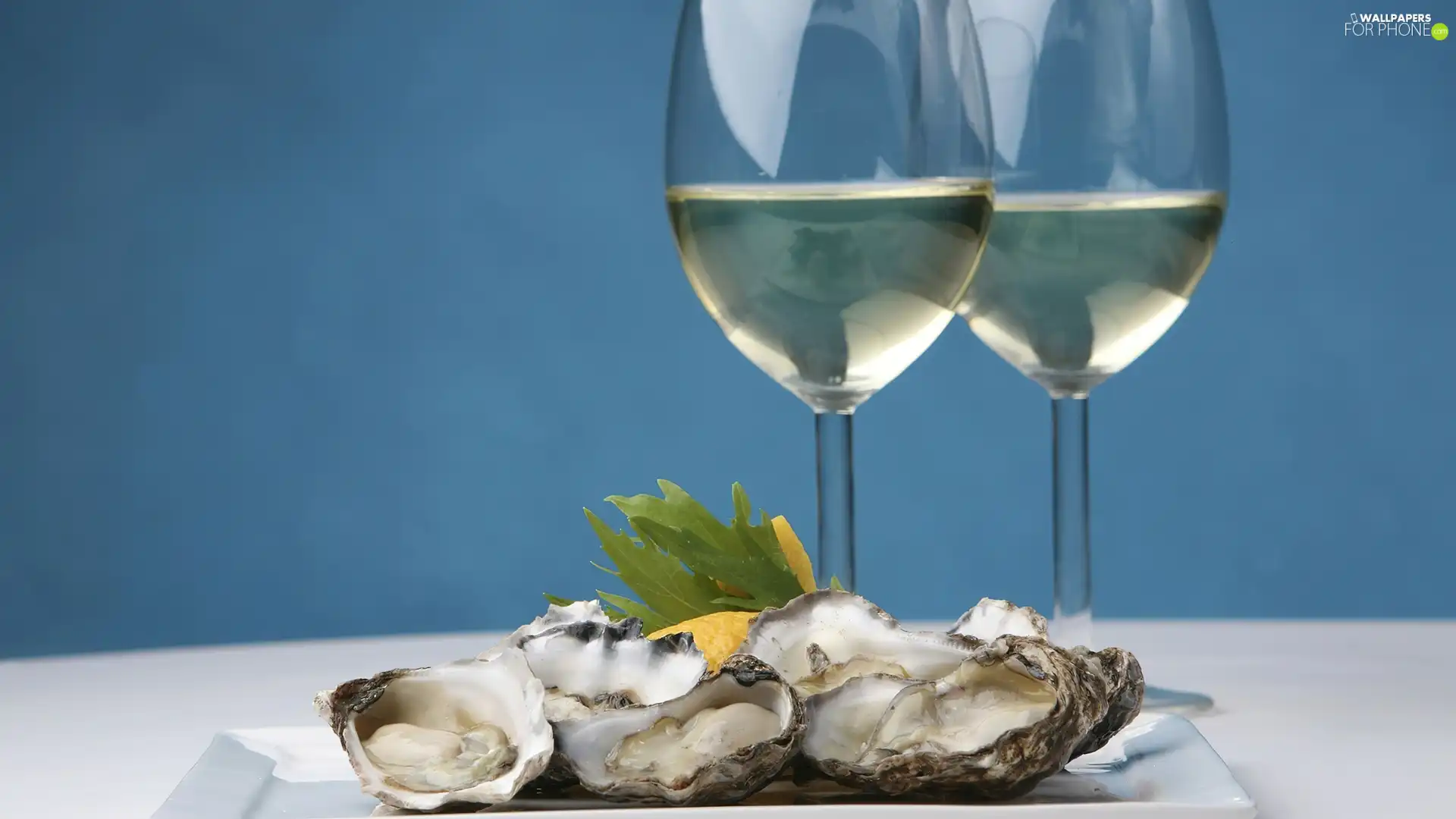 Oysters, glasses, Wine