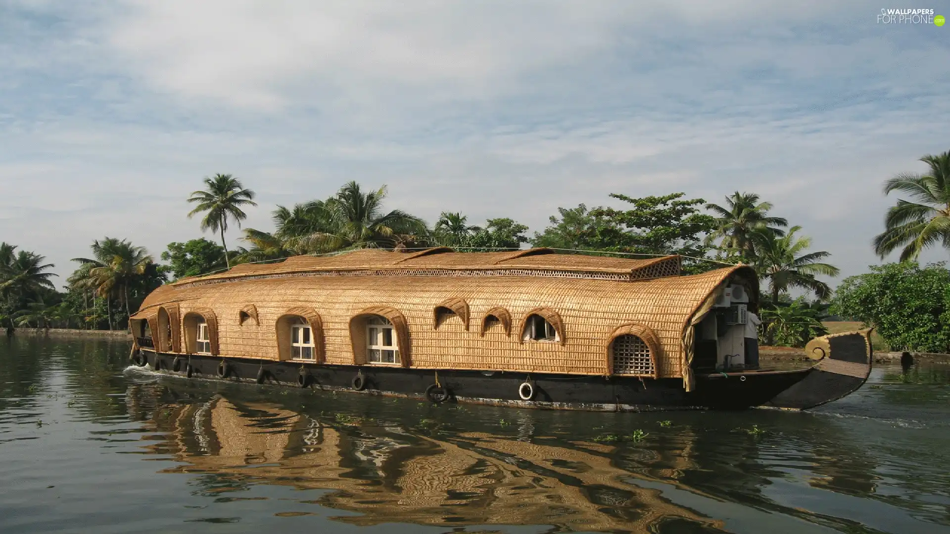 ark, River, Palms, house