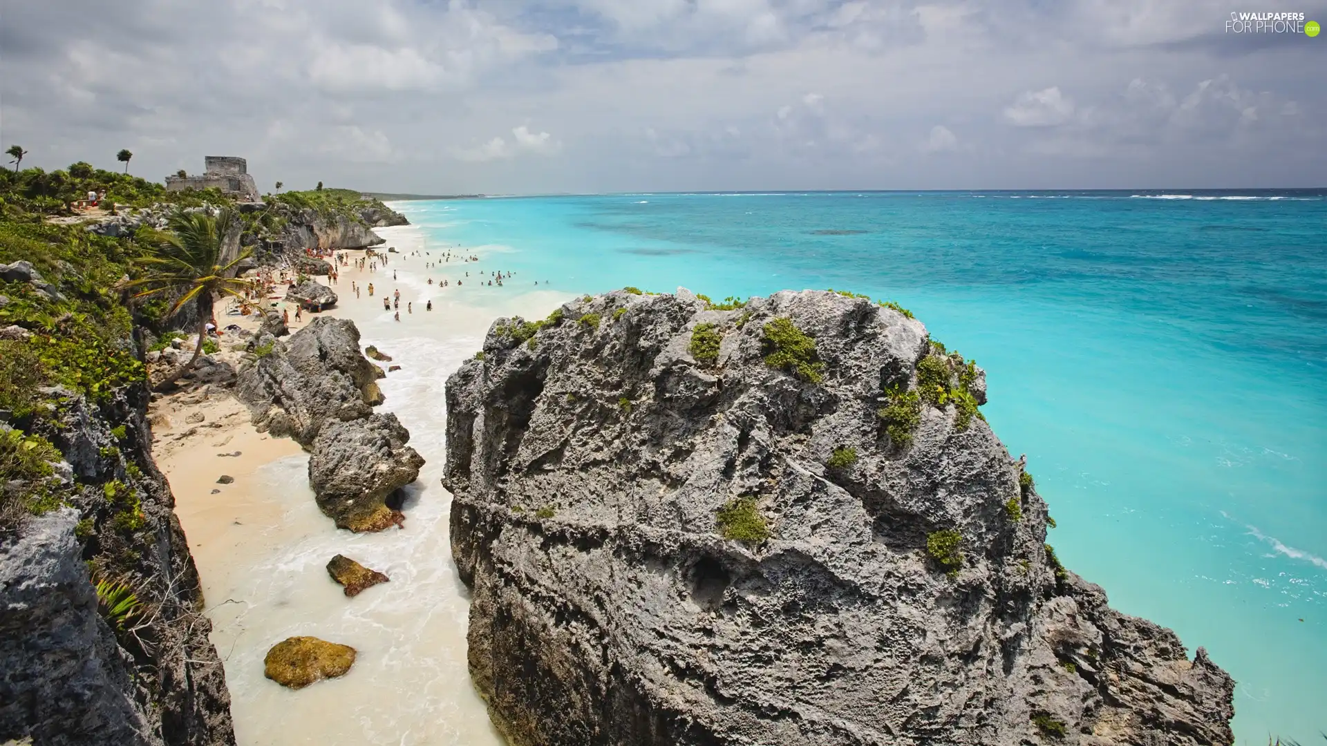 Beaches, Rocks, Palms, sea