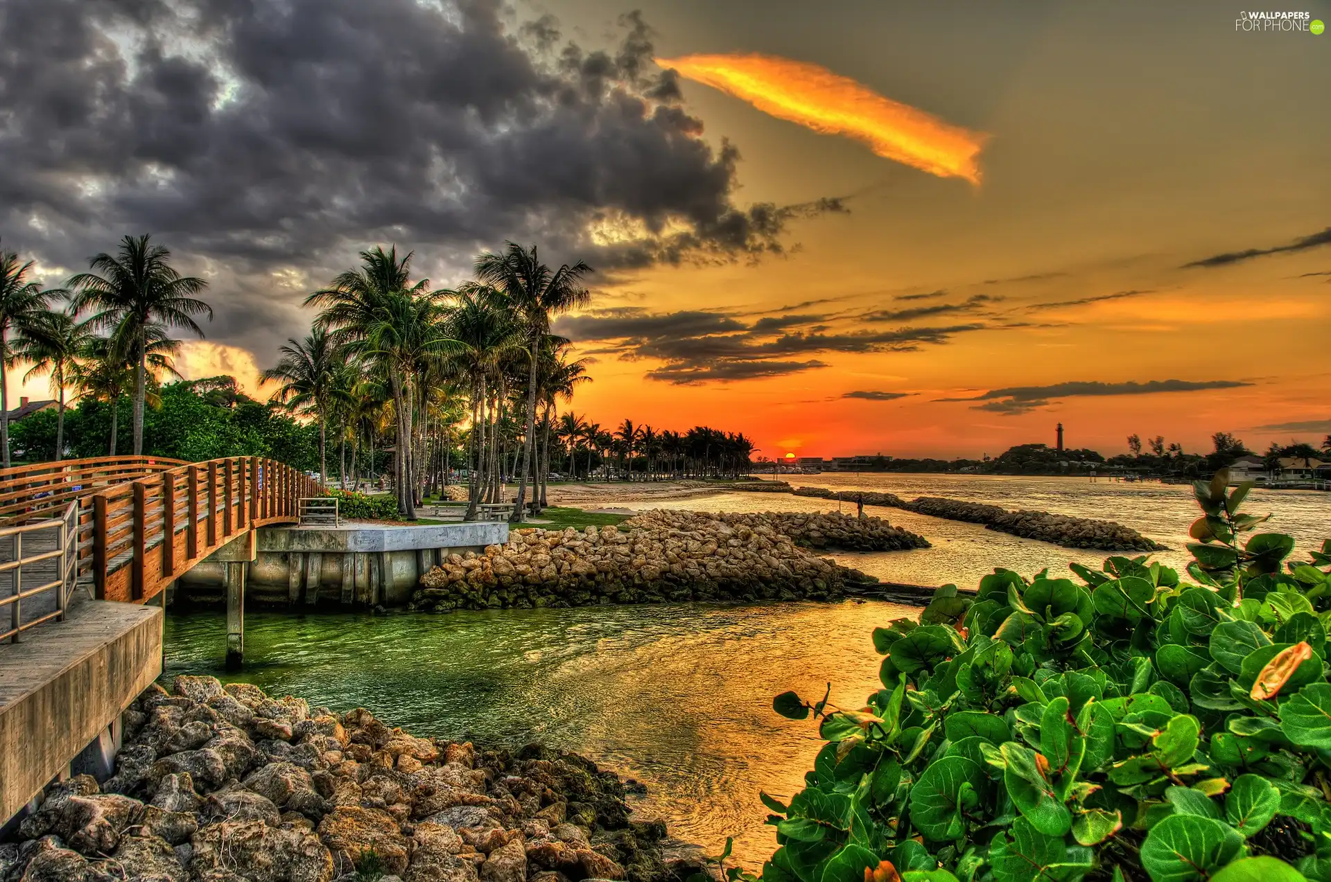 Palms, bridges, sun, lake, west