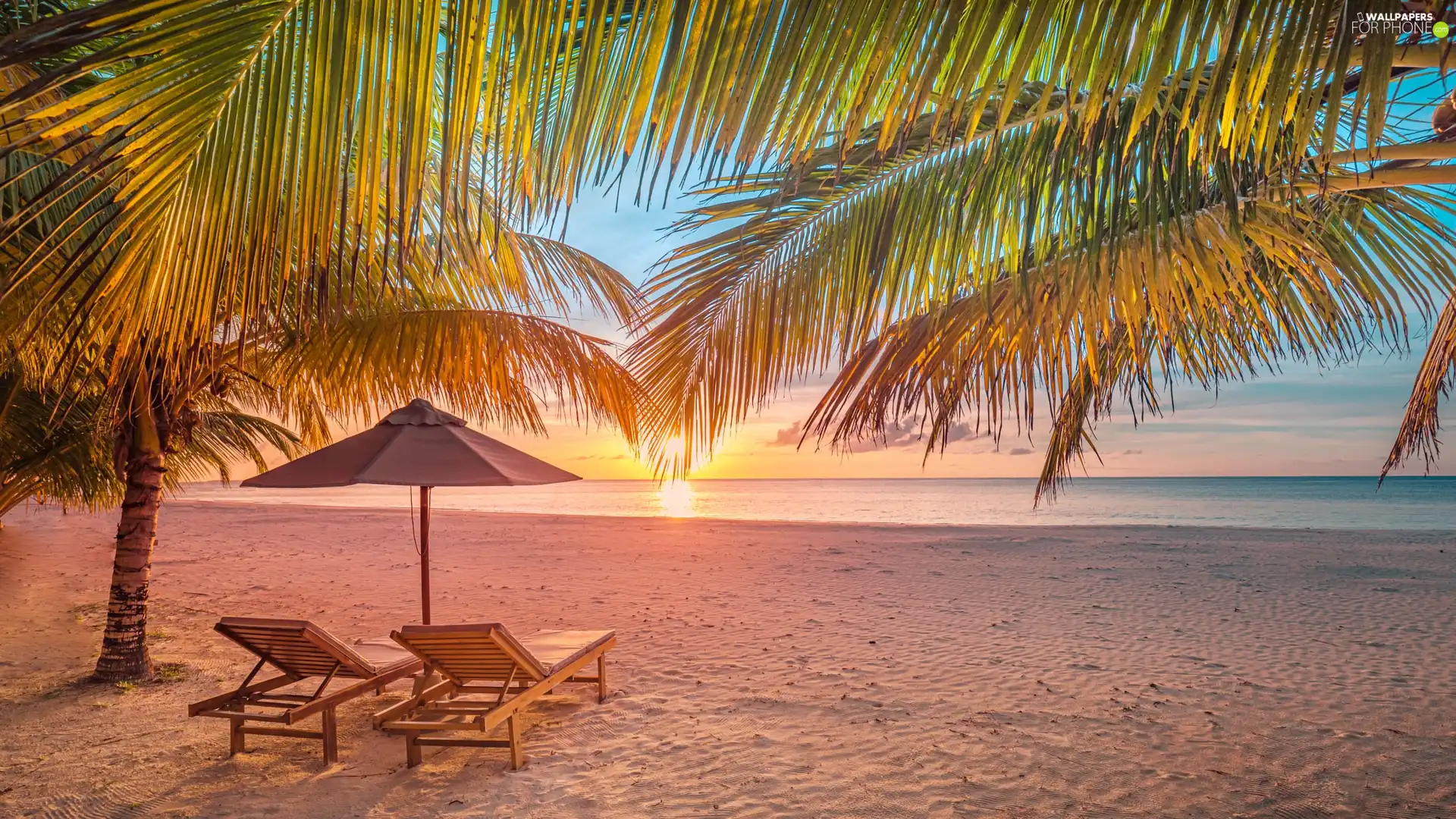 Palms, sea, Umbrella, Beaches, Maldives, deck chair, Great Sunsets