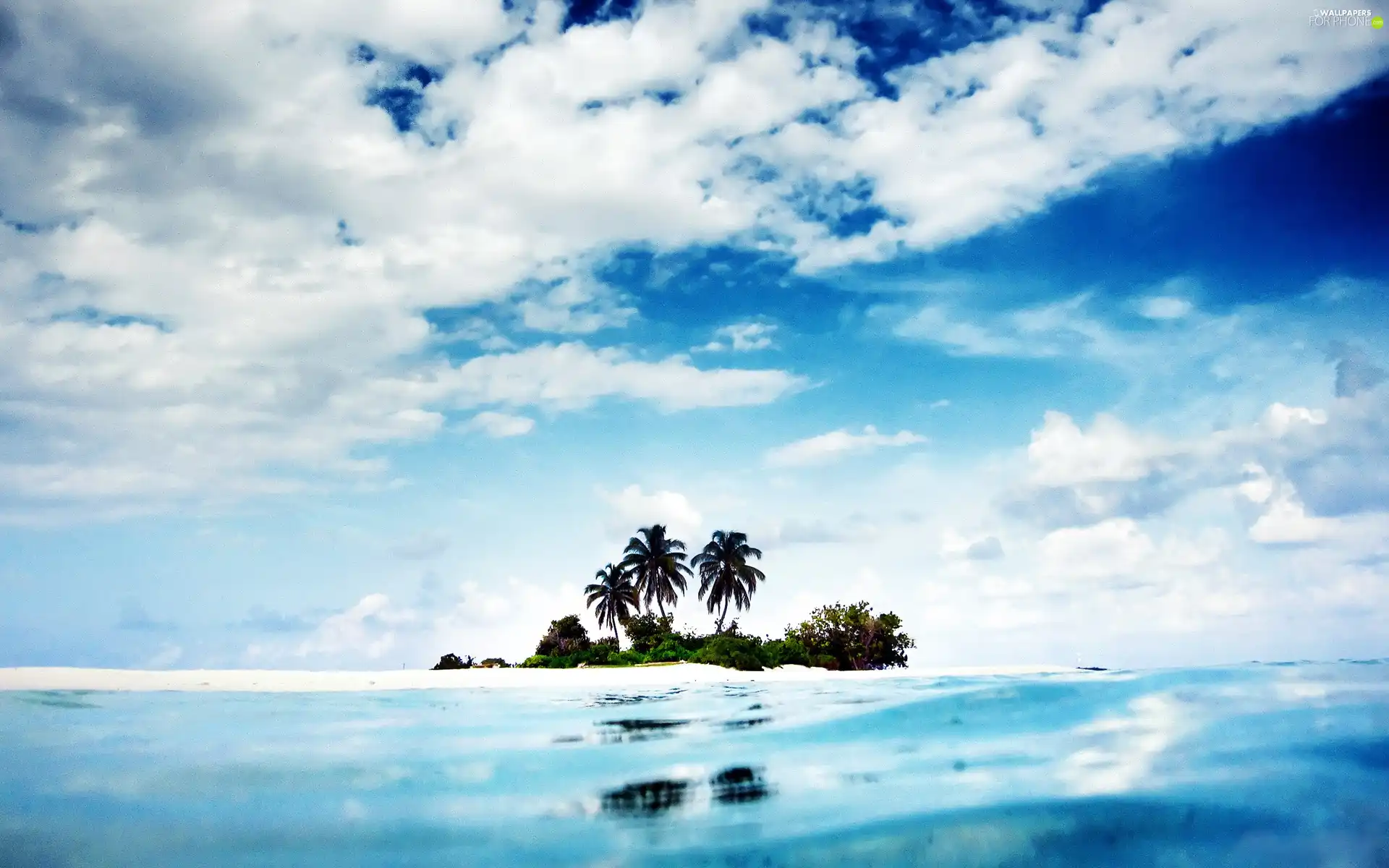 Palms, sea, clouds