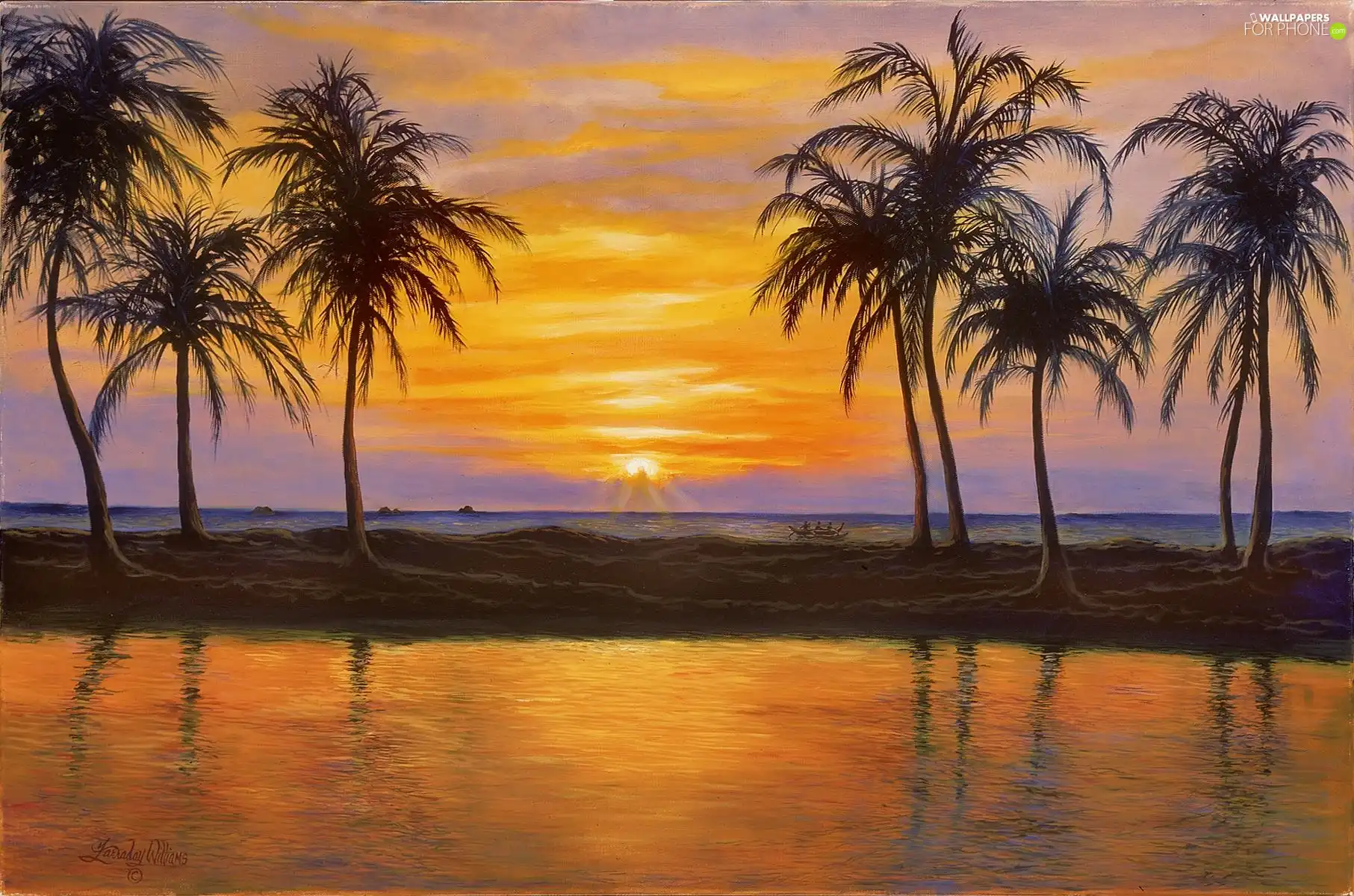 water, Great Sunsets, Palms