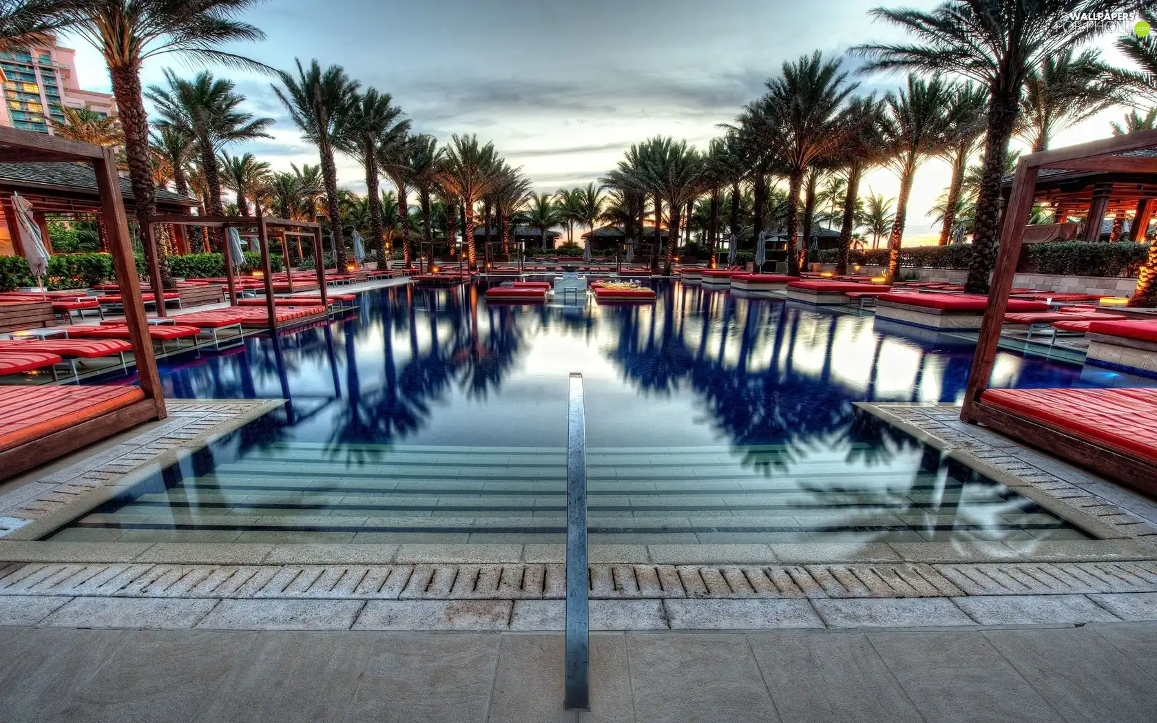 Pool, Palms