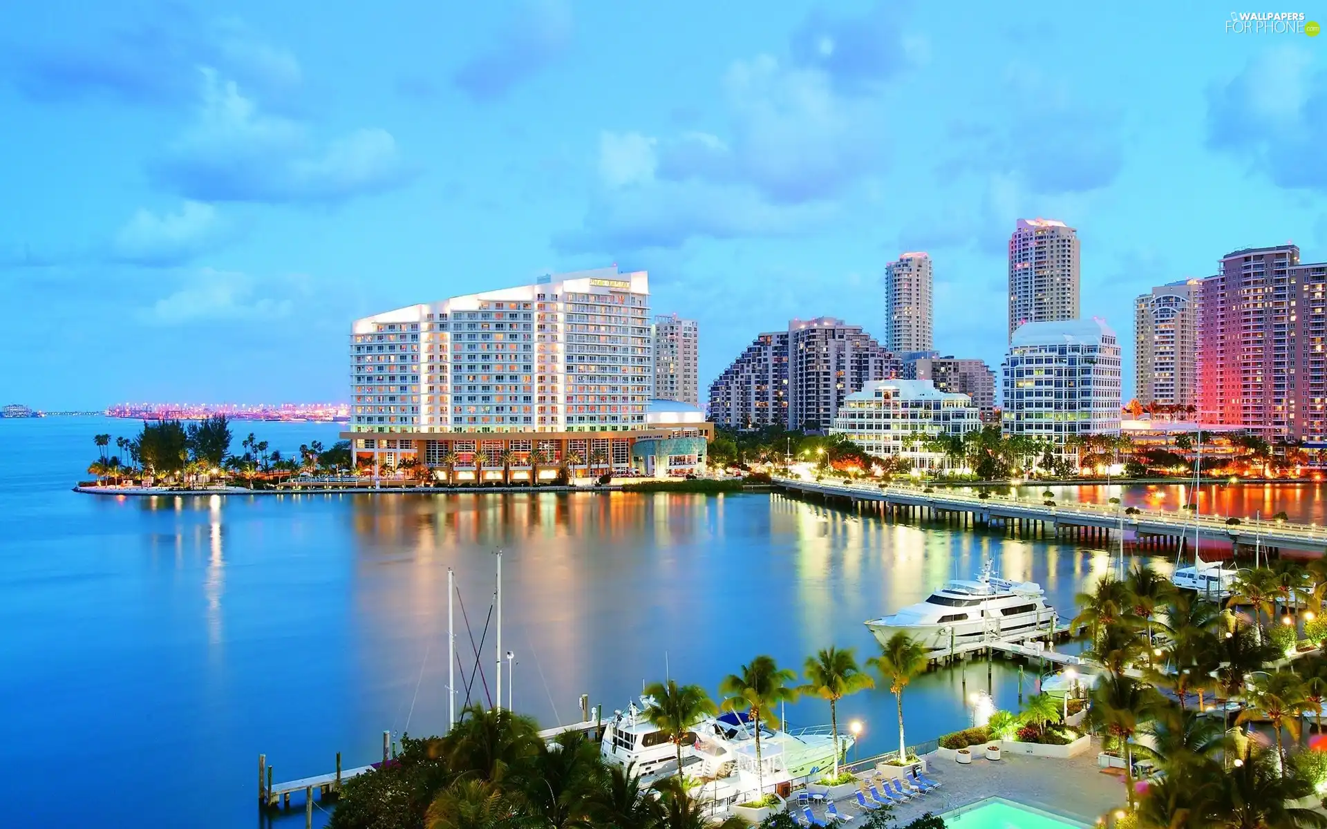 Palms, port, buildings, water, Great