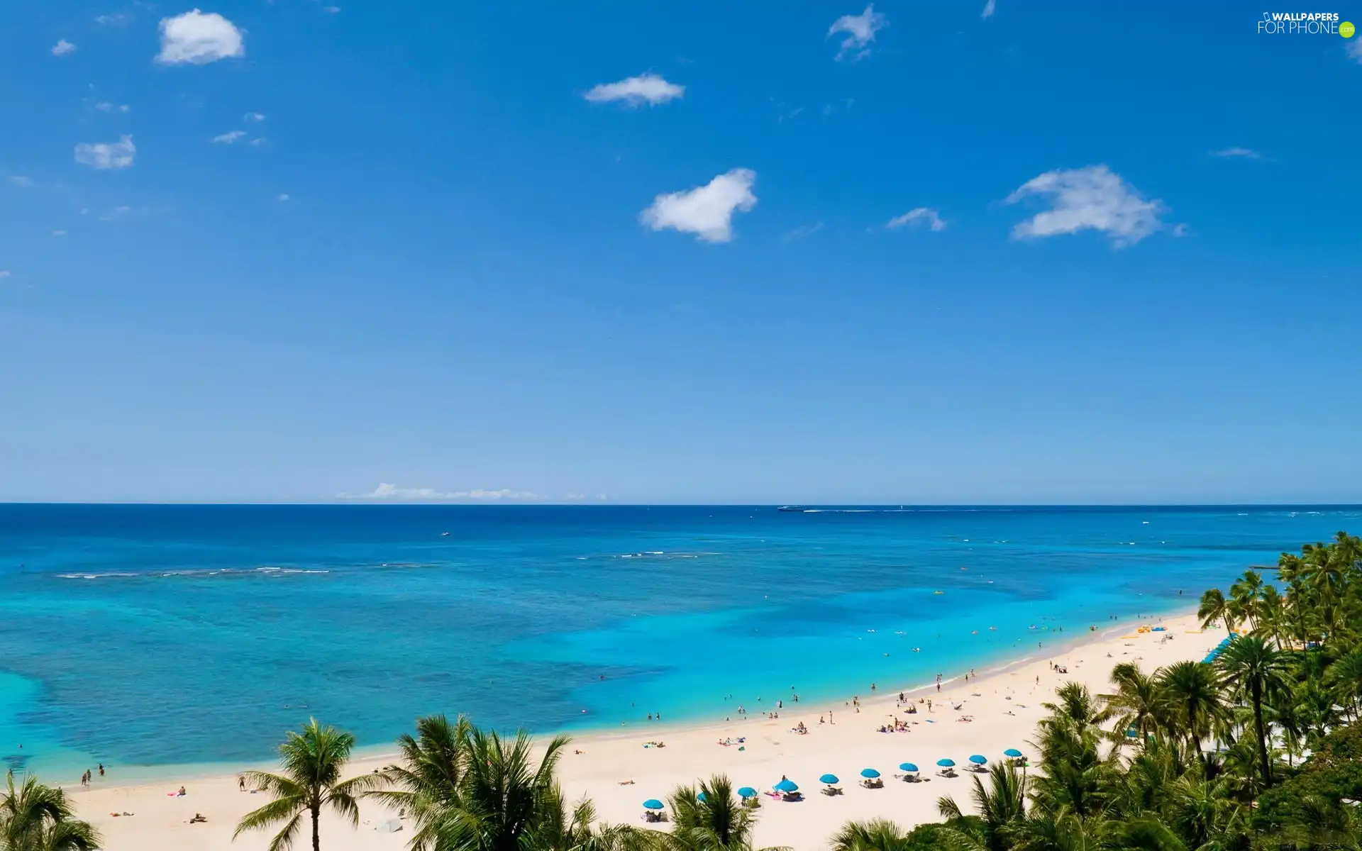 sea, Cloud, Palms, Beaches