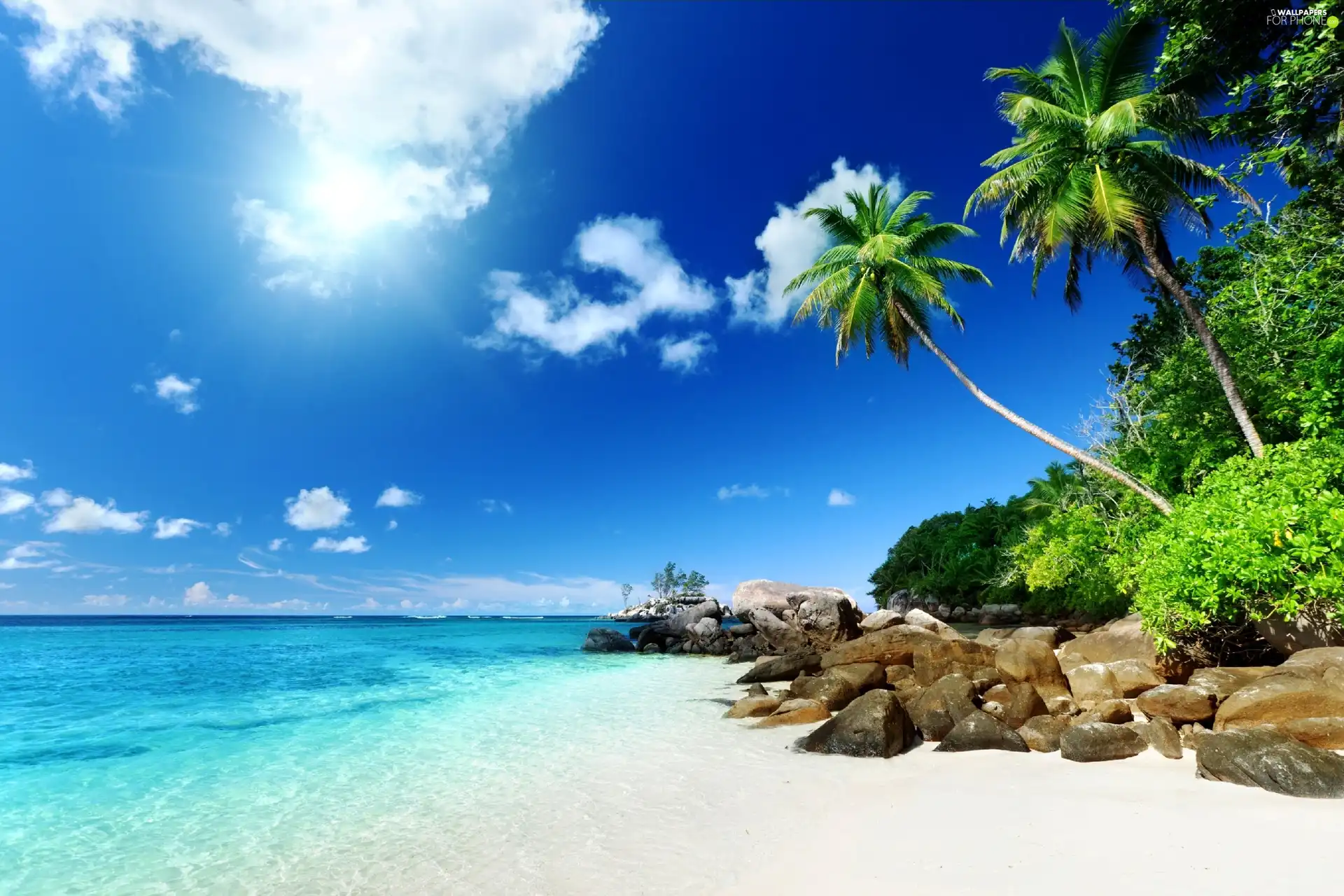 sea, Stones, Palms, Beaches