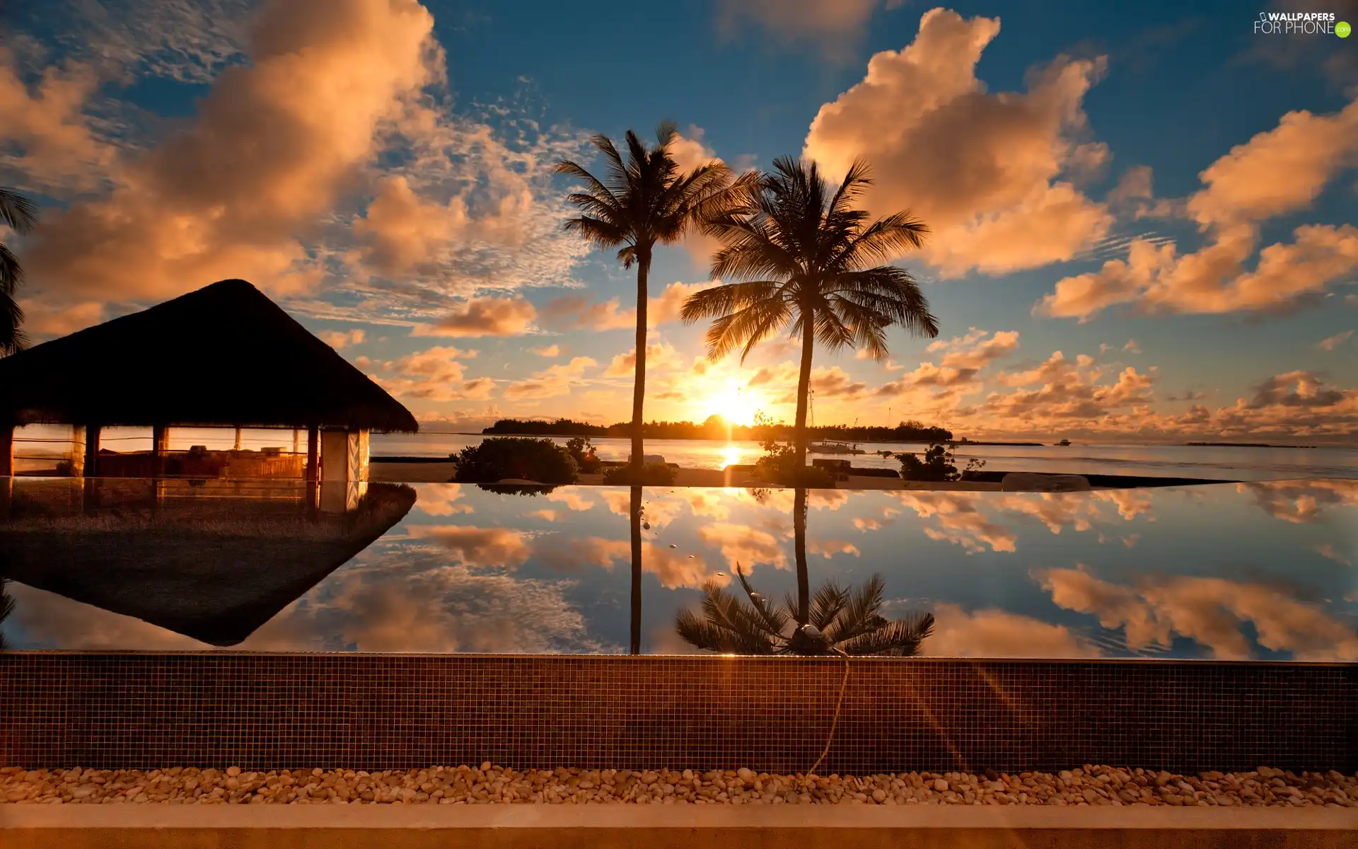 sea, sun, Palms, west