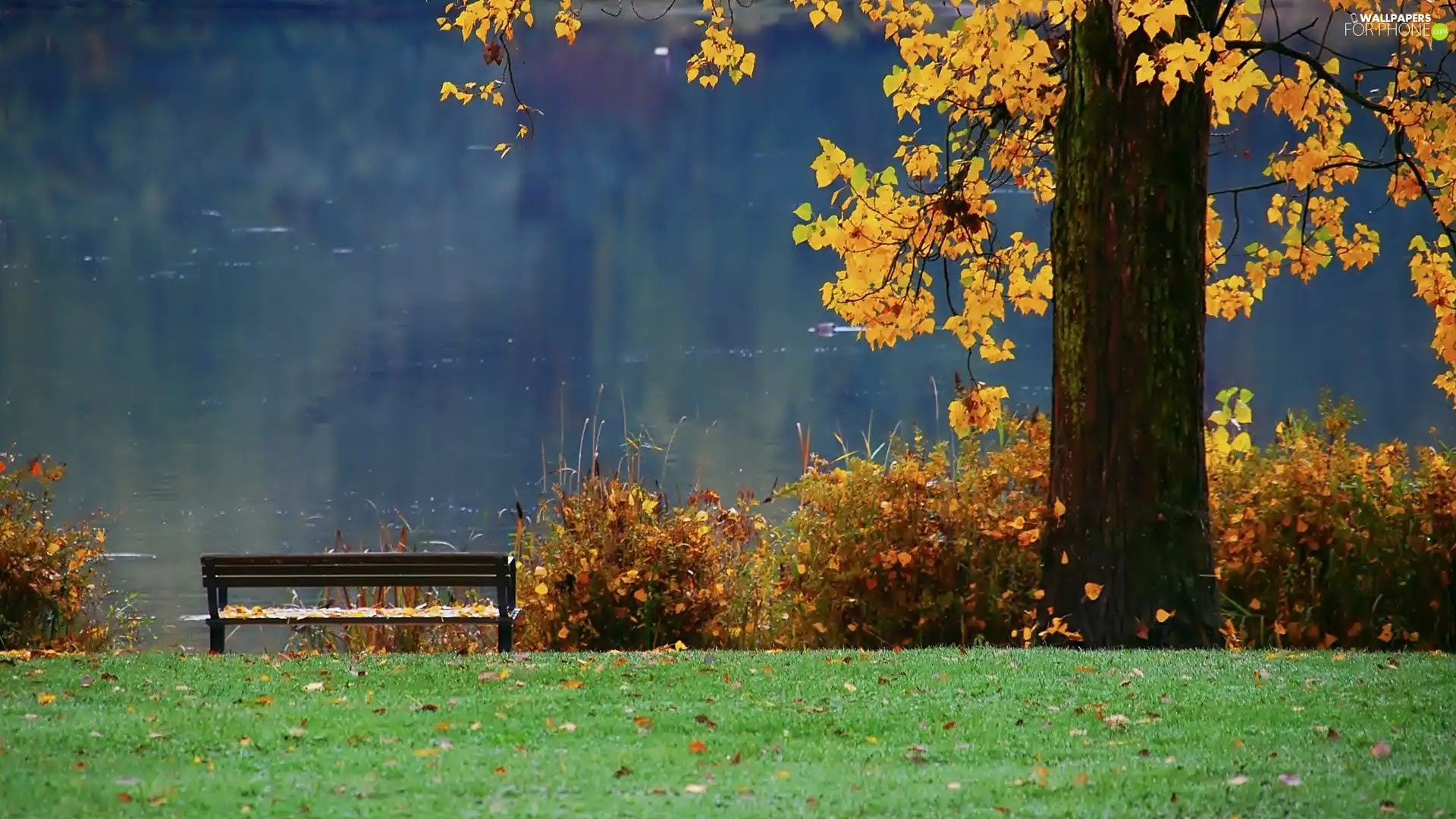 autumn, Bench, Park, lake